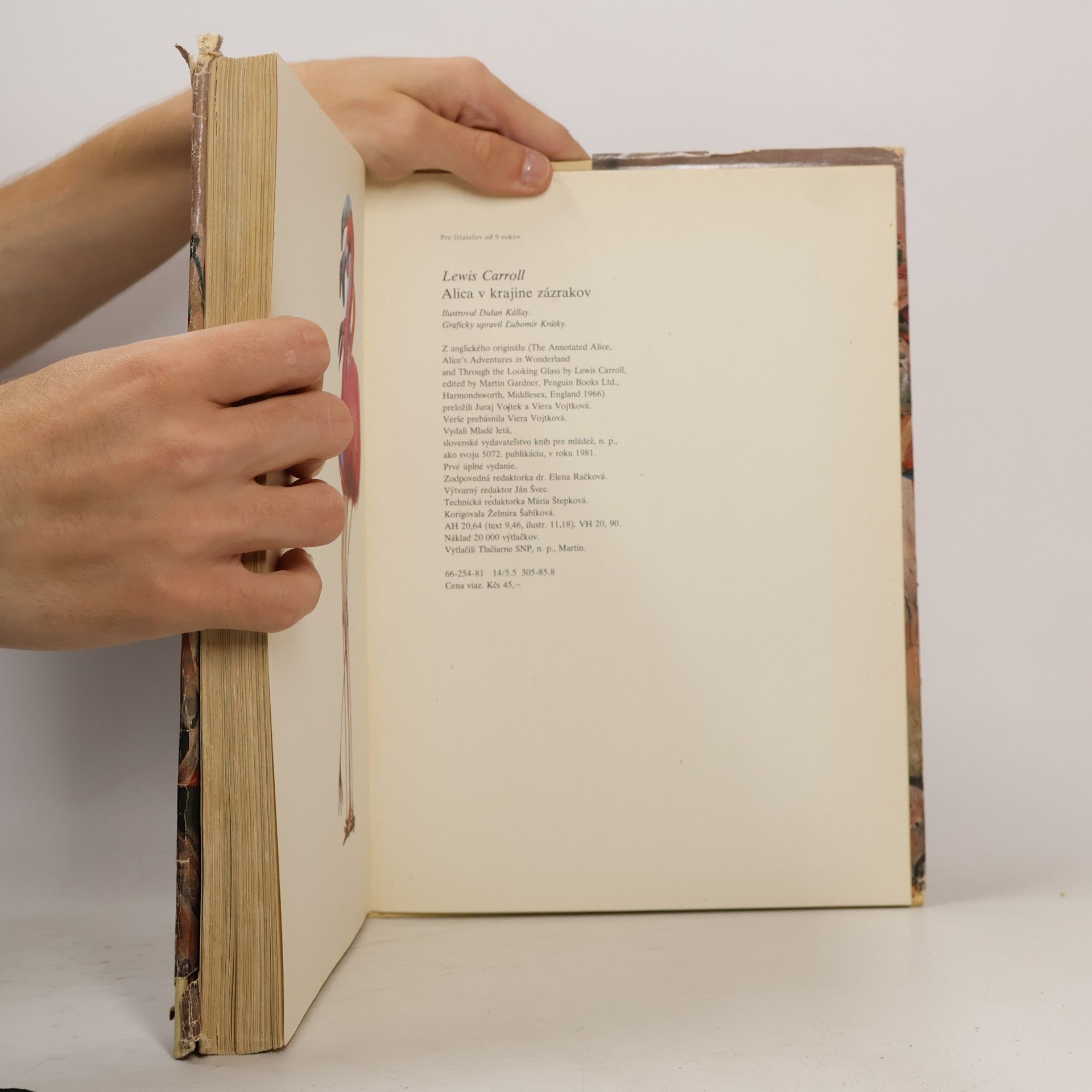 Lewis Carroll Alica v krajine zázrakov