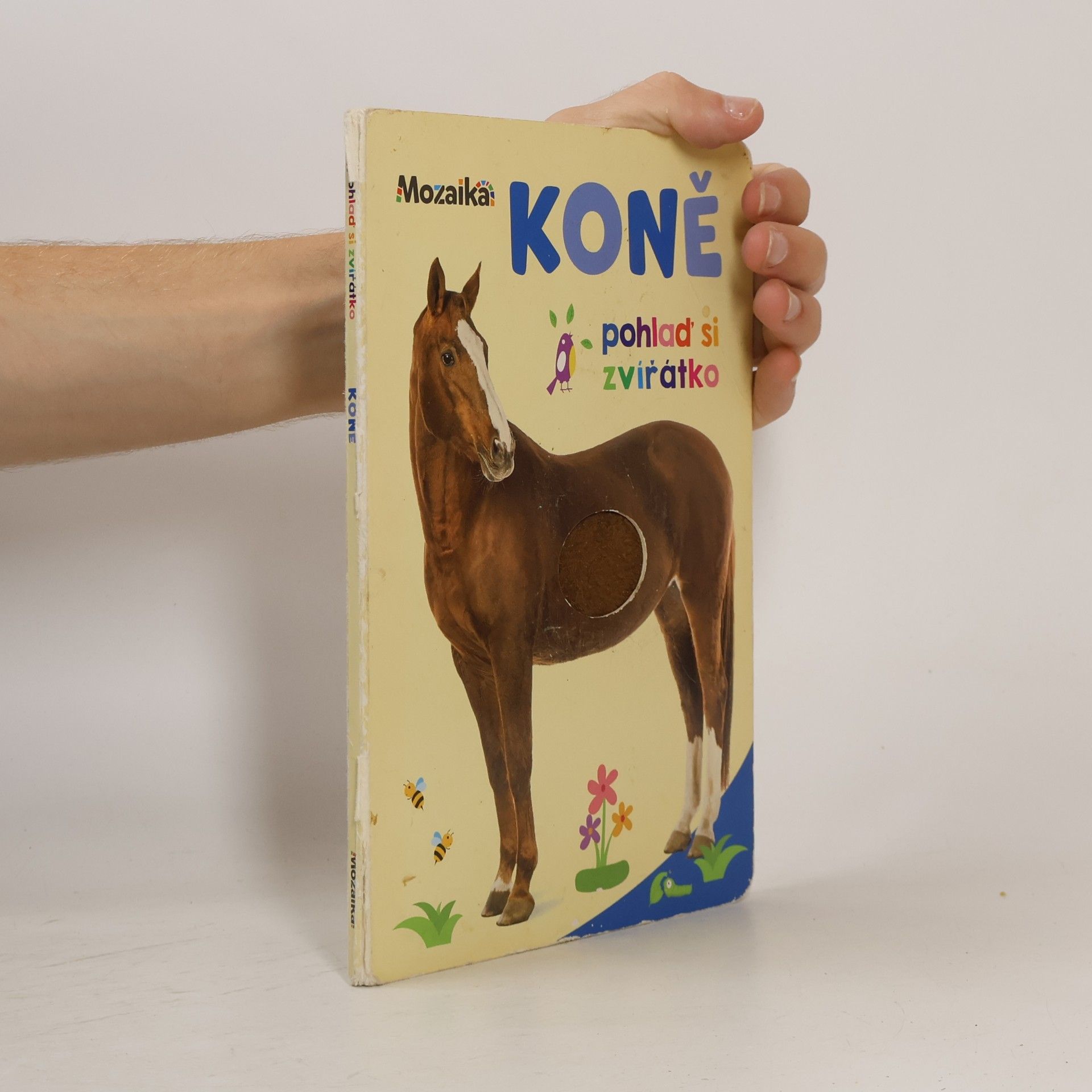 Kolektiv autorů Koně : pohlaď si zvířátko