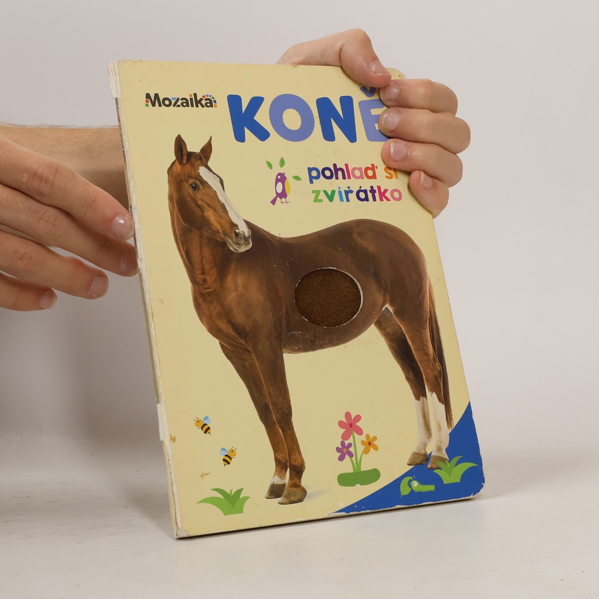 Kolektiv autorů Koně : pohlaď si zvířátko