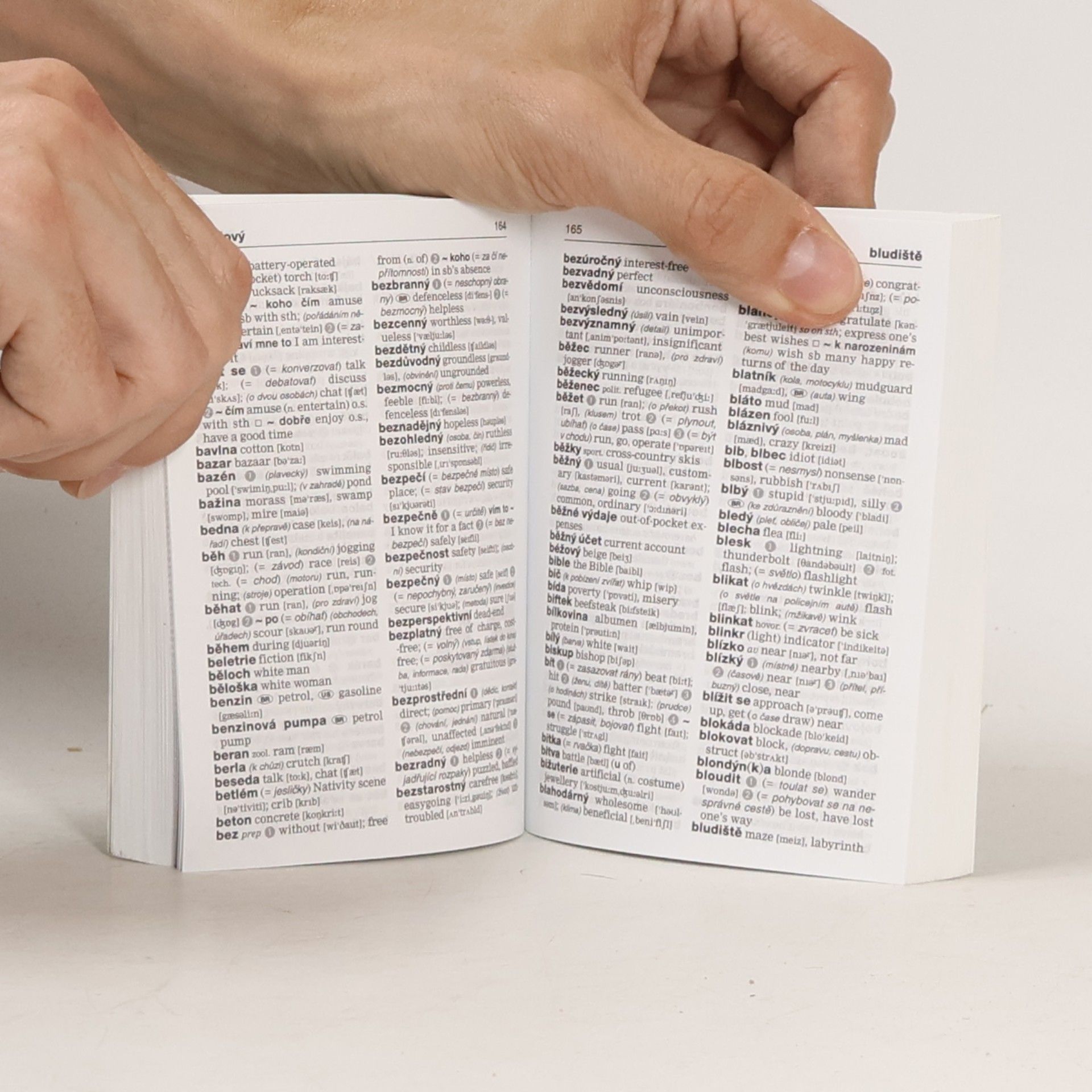 Autorenkollektiv Anglicko-Český Česko-Anglický slovník