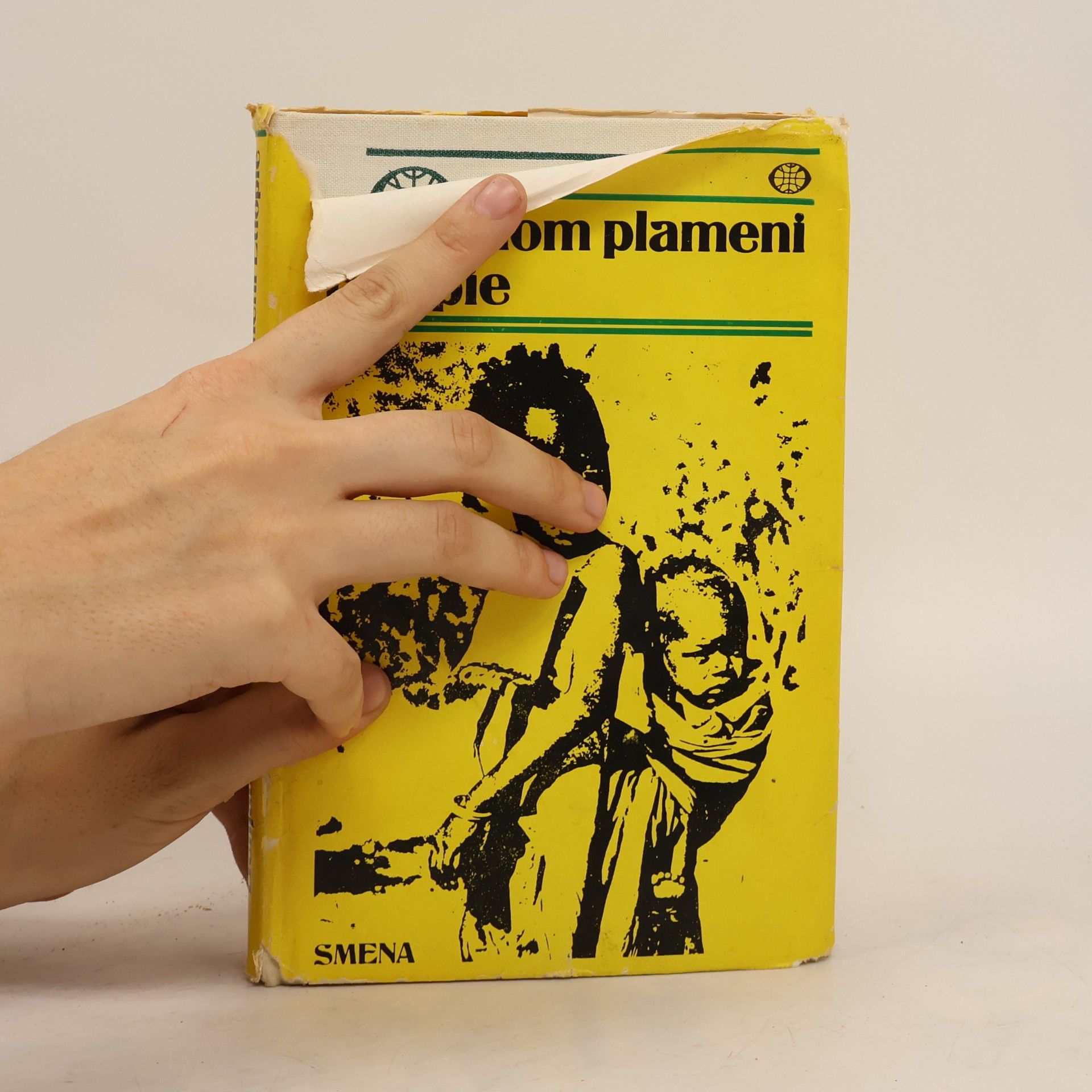 Benjamín Tinák V zelenom plameni Etiópie