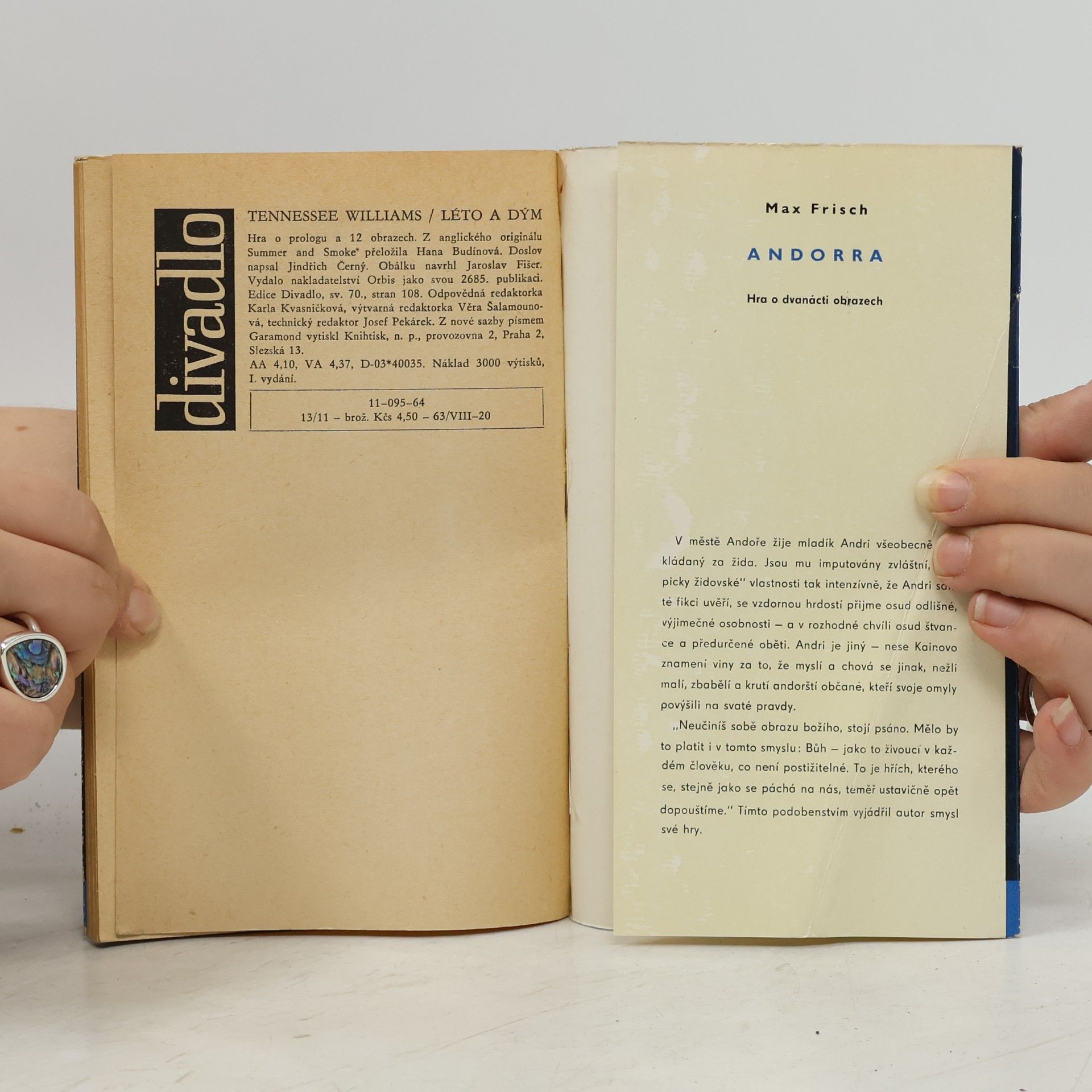 Tennessee Williams Léto a dým