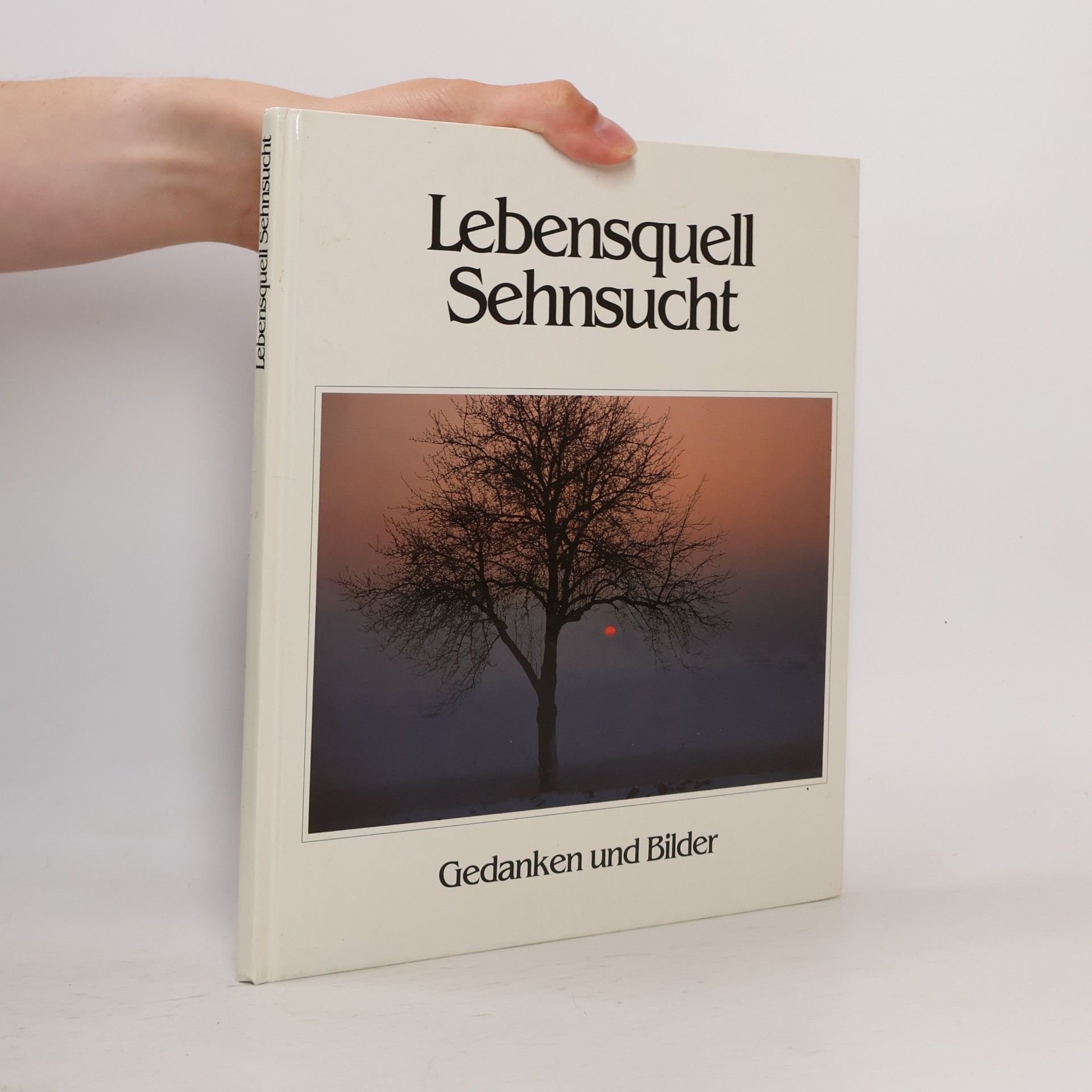 Autorenkollektiv Lebensquell Sehnsucht