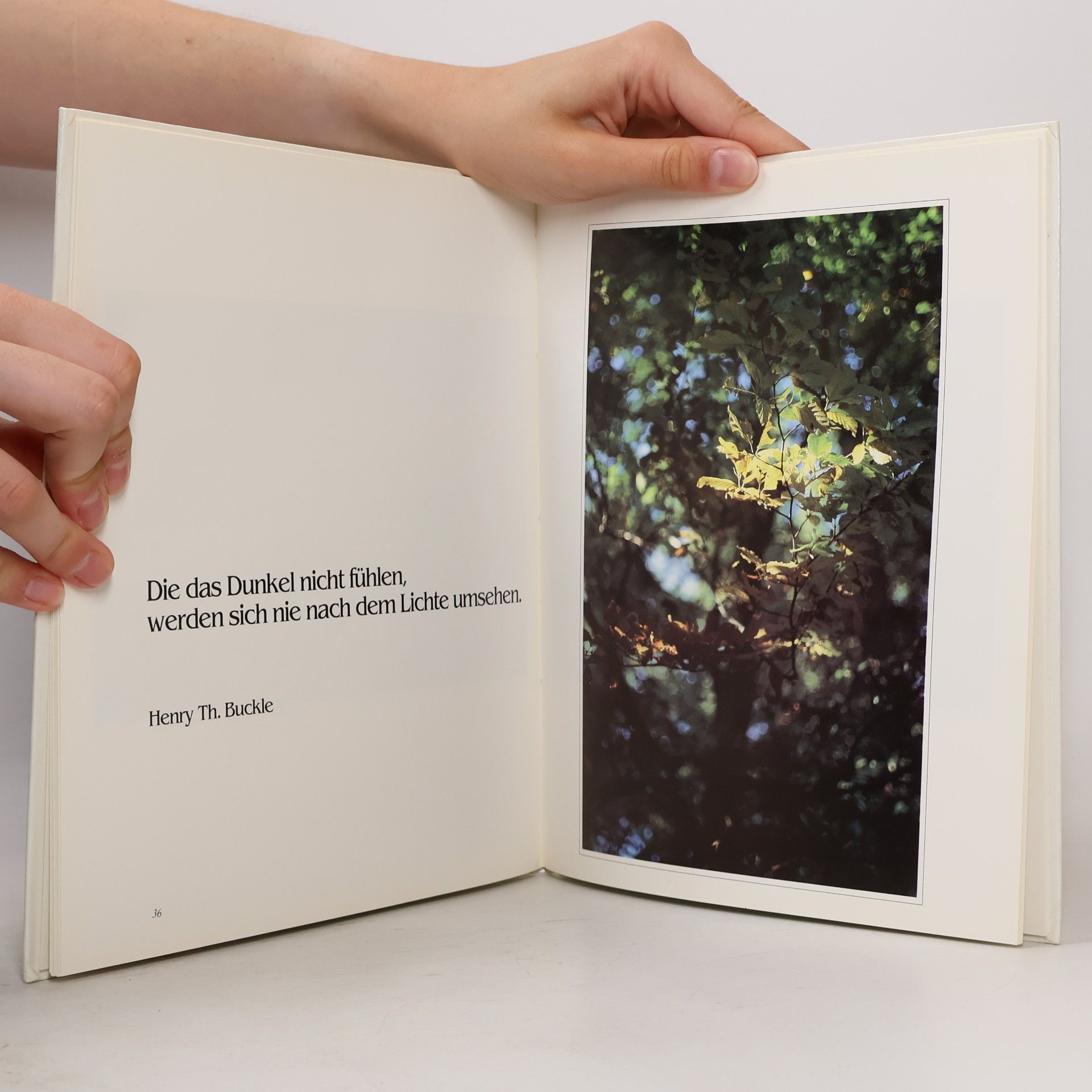 Autorenkollektiv Lebensquell Sehnsucht