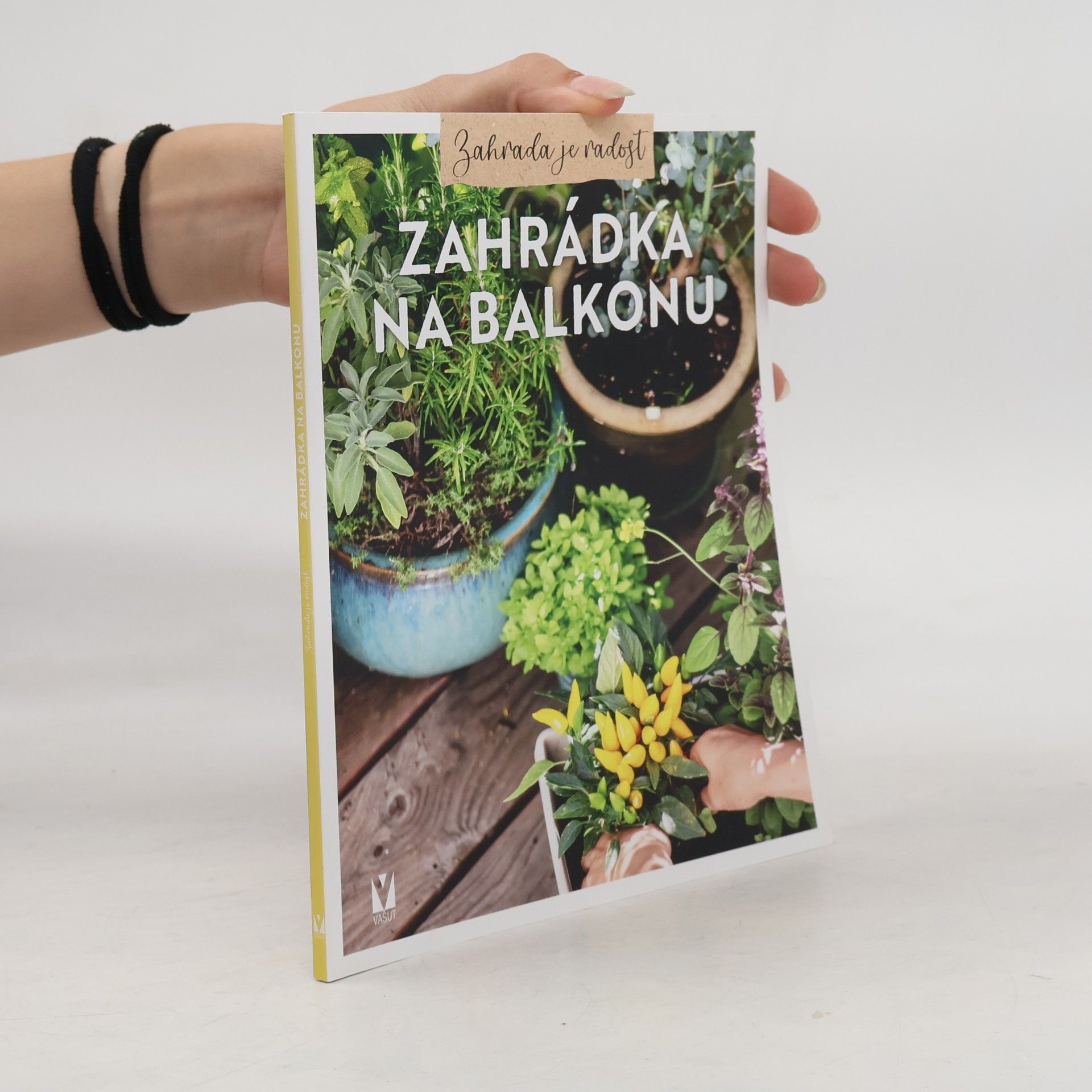 Václav Větvička Zahrádka na balkonu