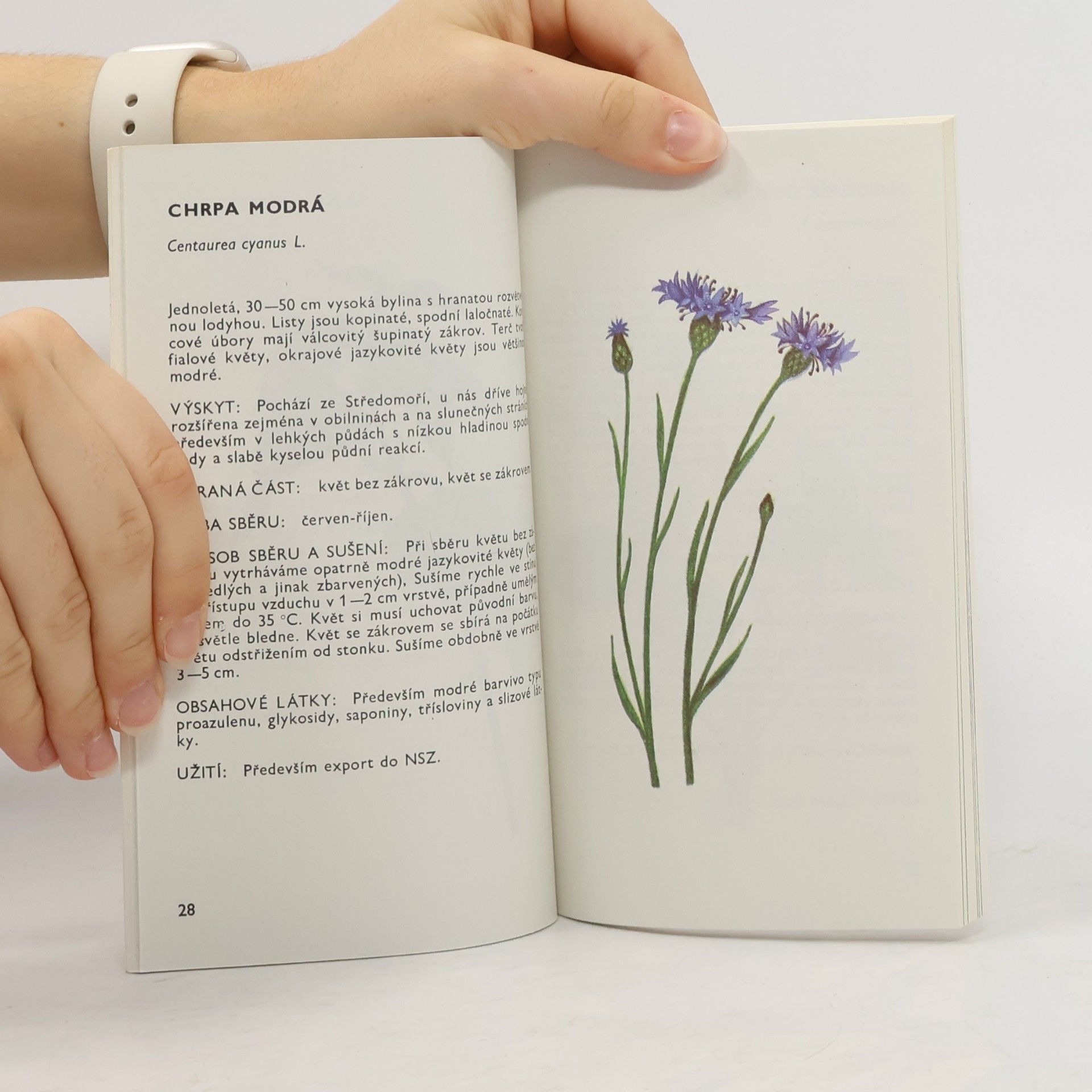 Ludmila Černá Malý herbář léčivých rostlin