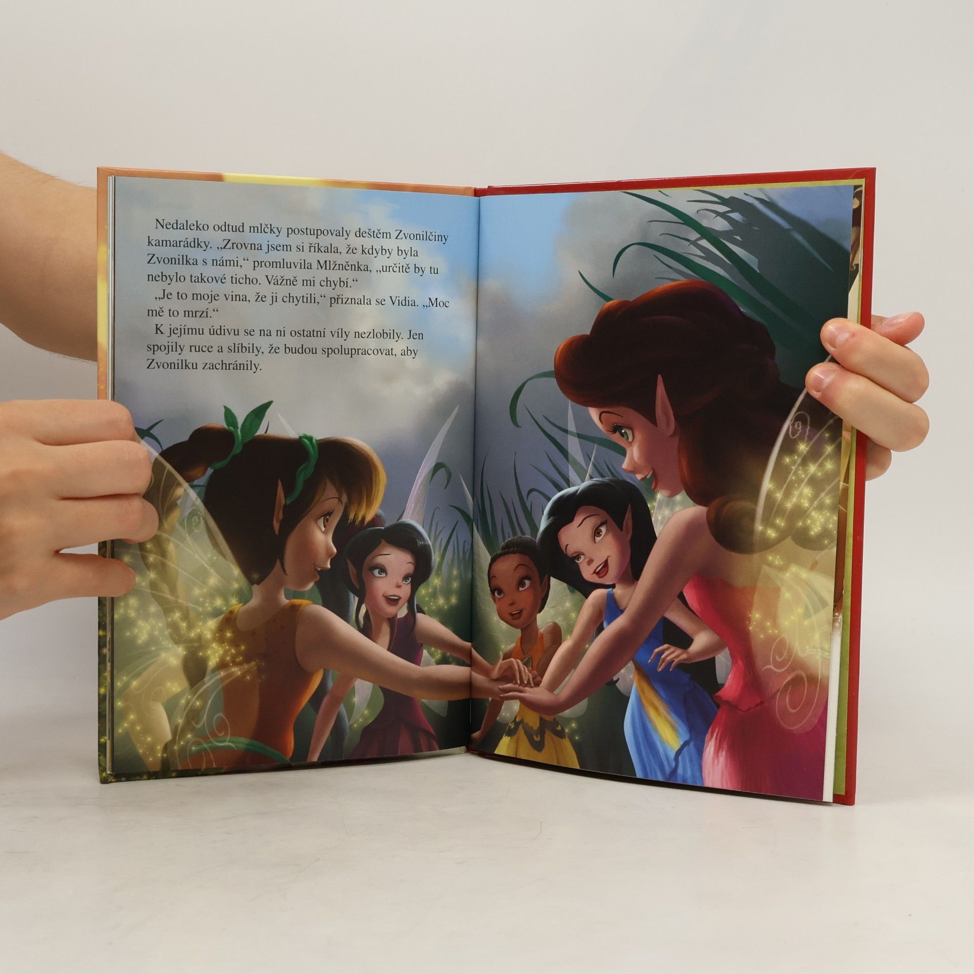 Walt Disney Zvonilka a Velká záchranná výprava