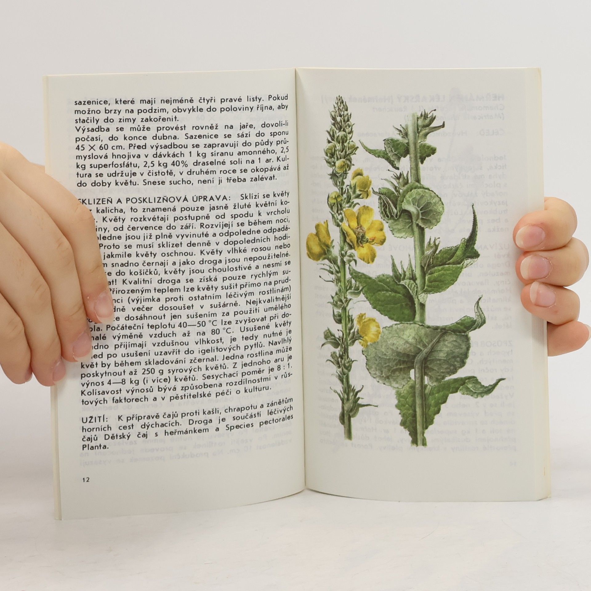 Ludmila Černá Malý herbář léčivých rostlin II. Pěstování