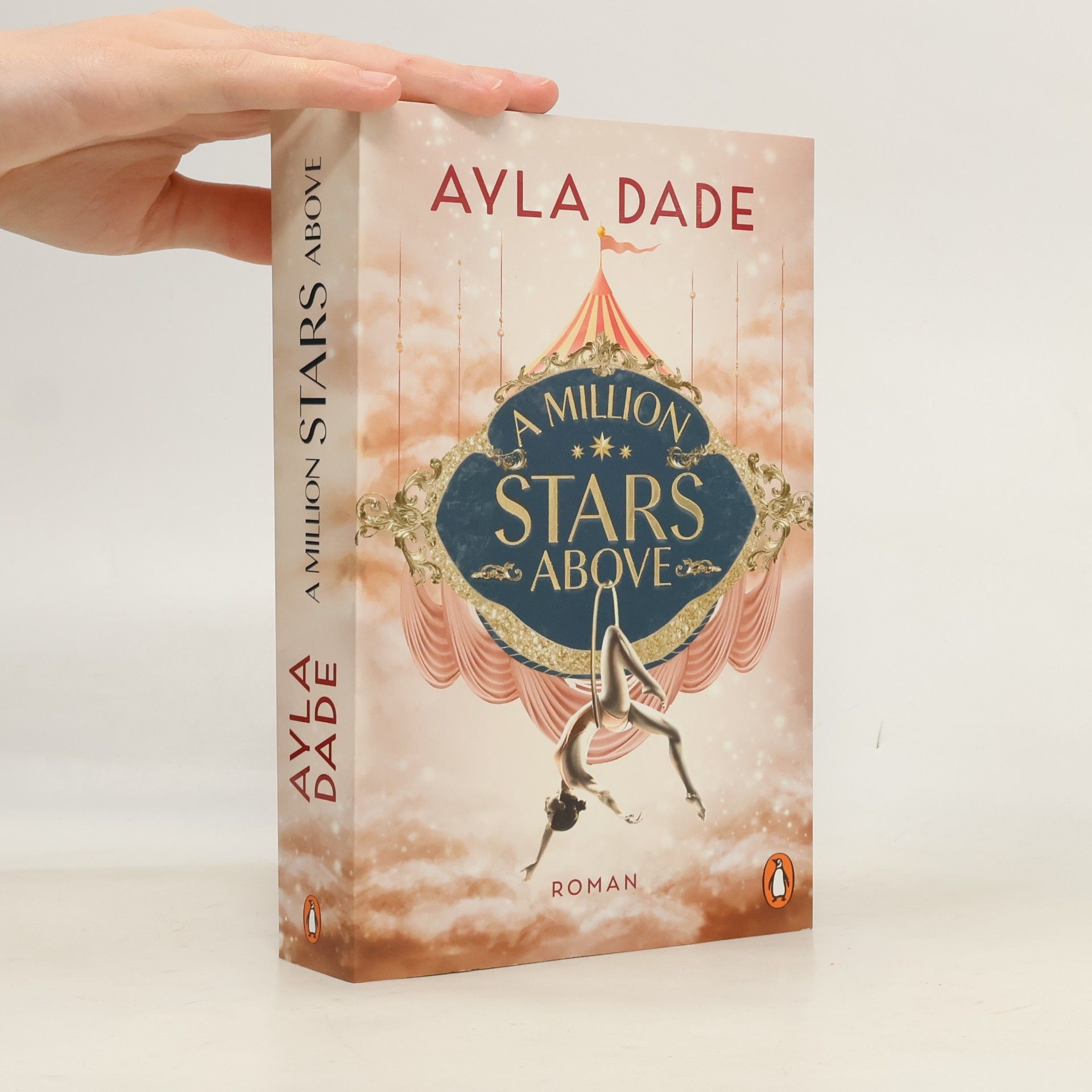 Ayla Dade A Million Stars Above / Sky Circus Bd.1