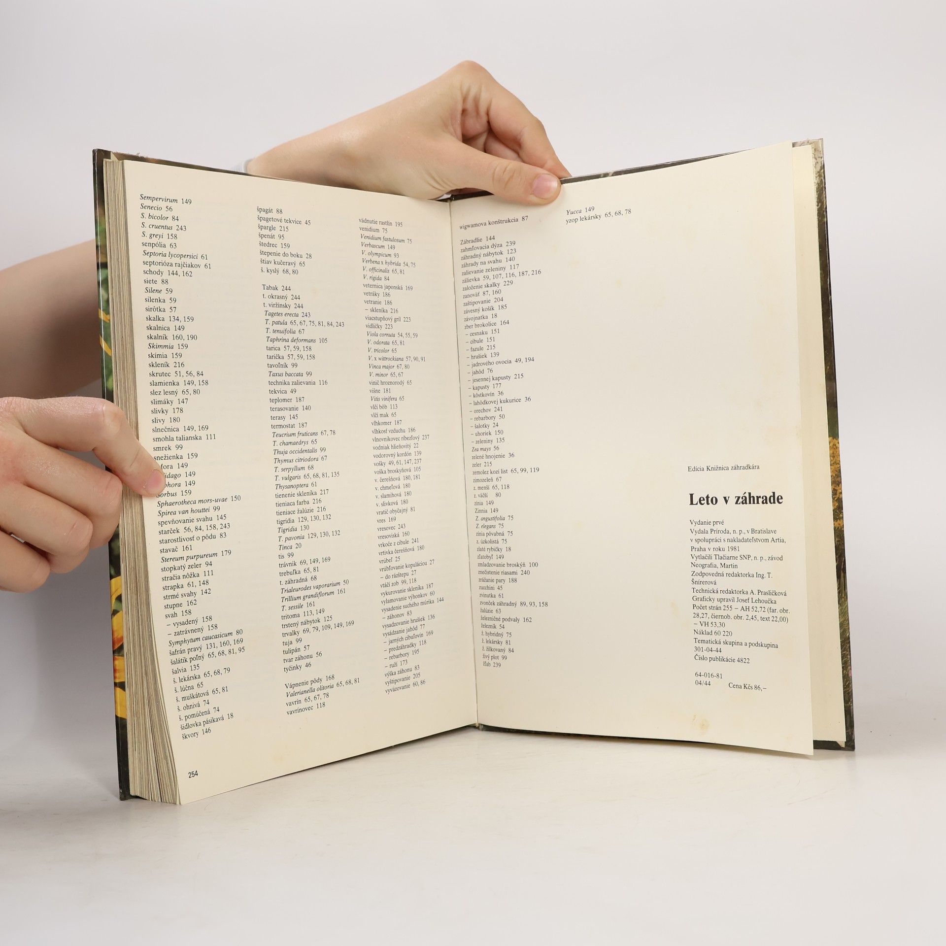 Autorenkollektiv Leto v záhrade