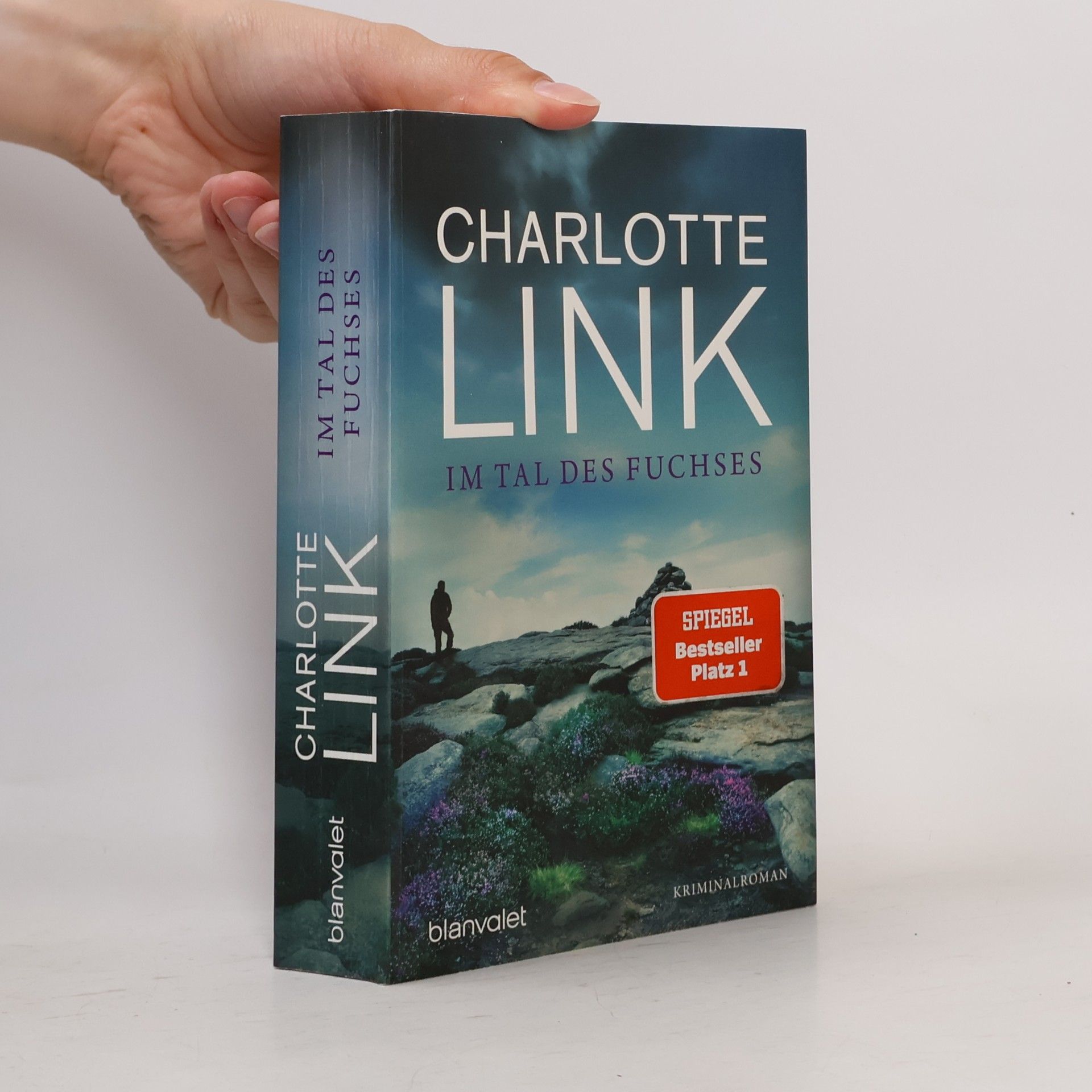 Charlotte Link Im Tal des Fuchses