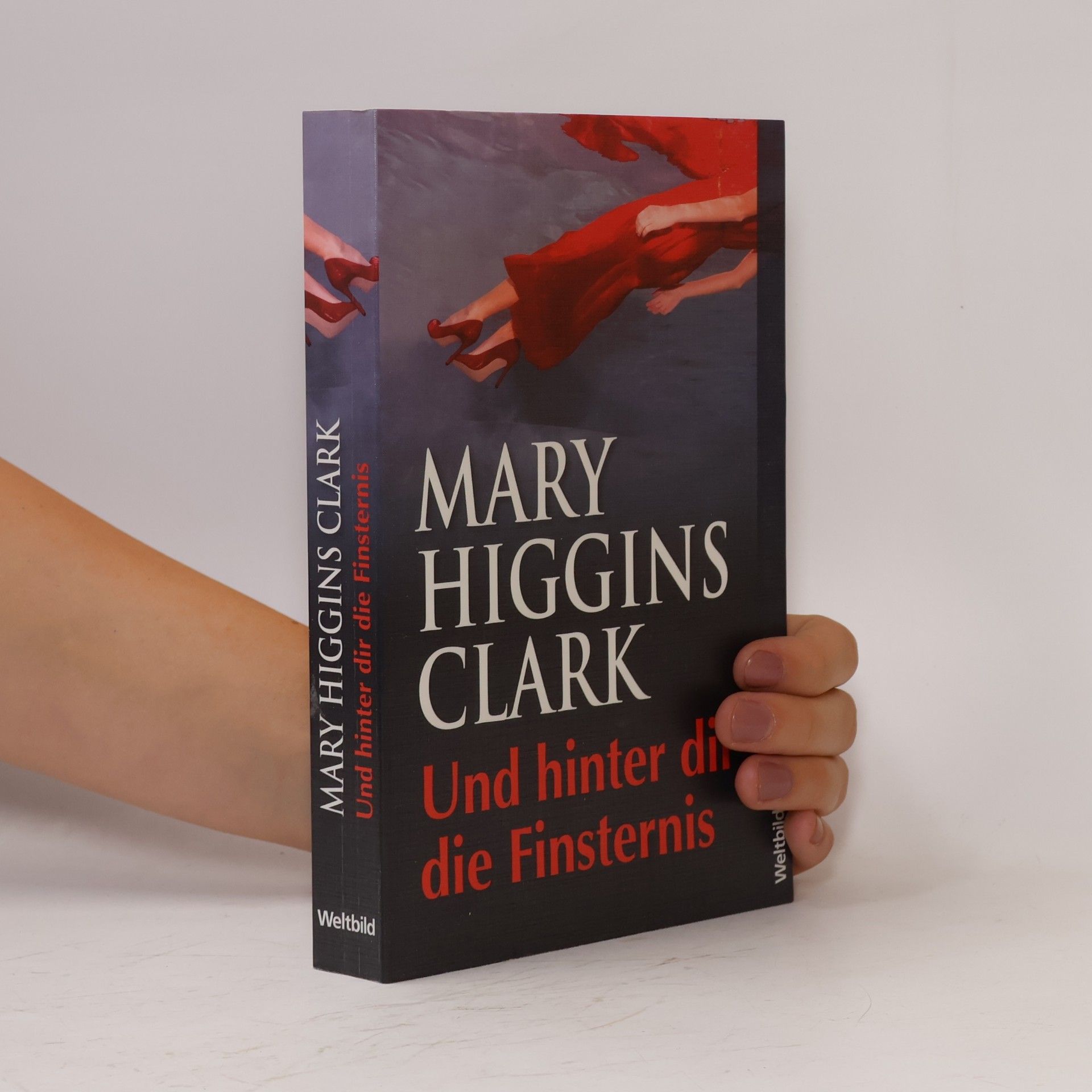 Mary Higginsová Clarková Und hinter dir die Finsternis