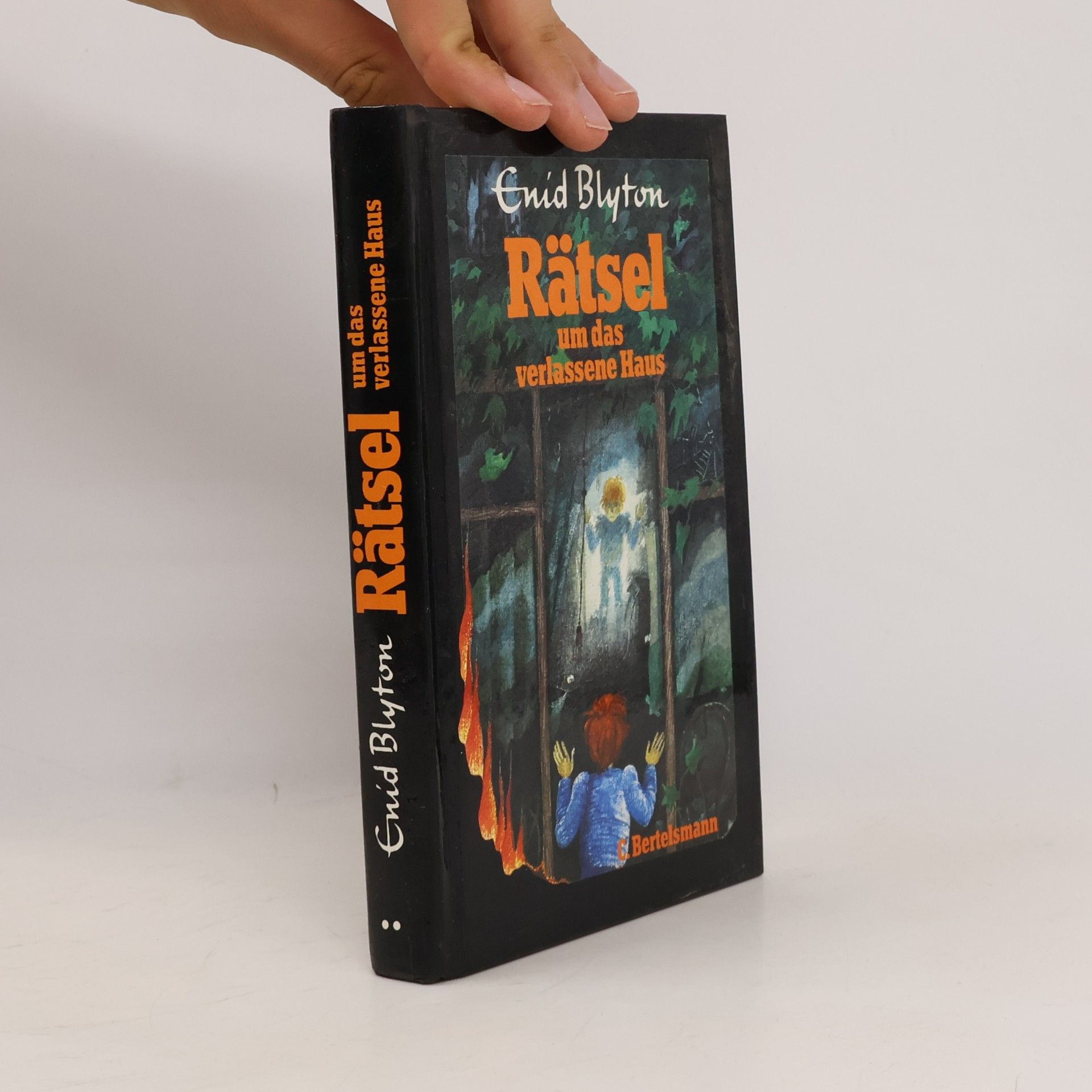 Enid Blyton Rätsel um das verlassene Haus