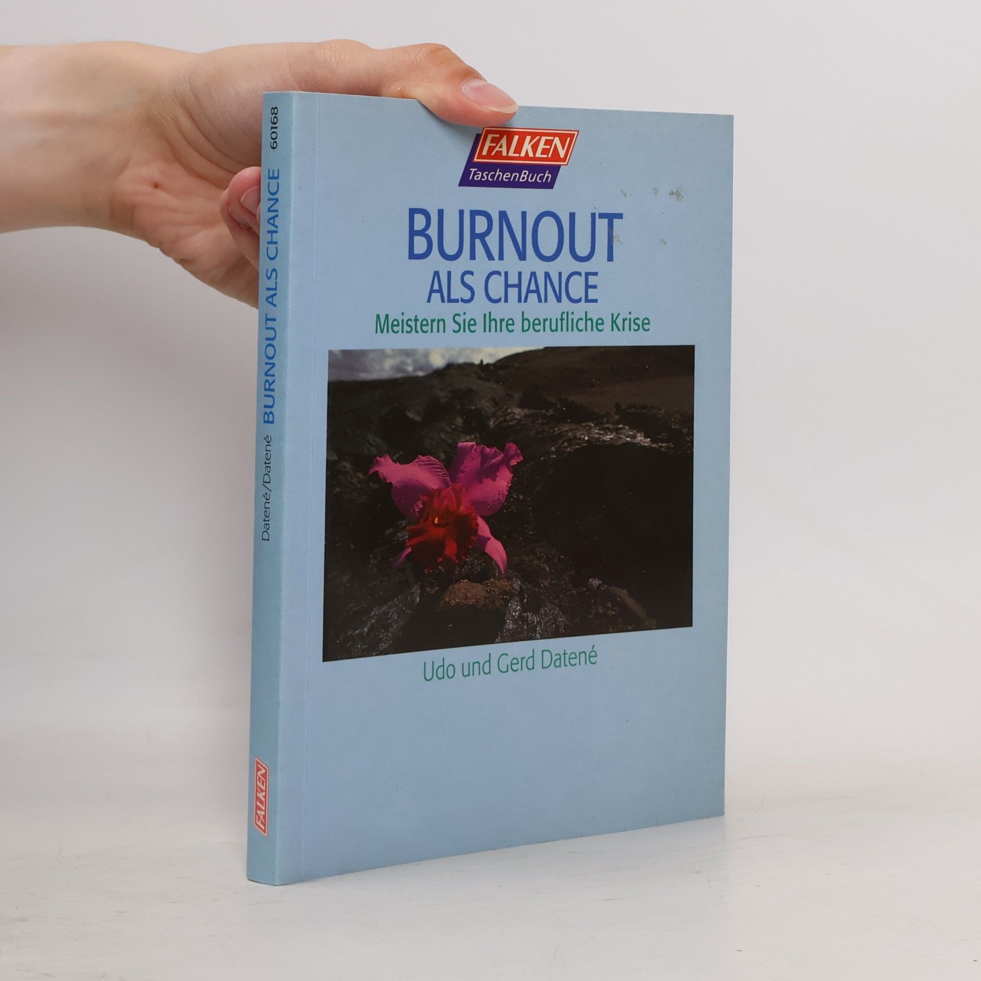 Gerd Datené Burnout als Chance