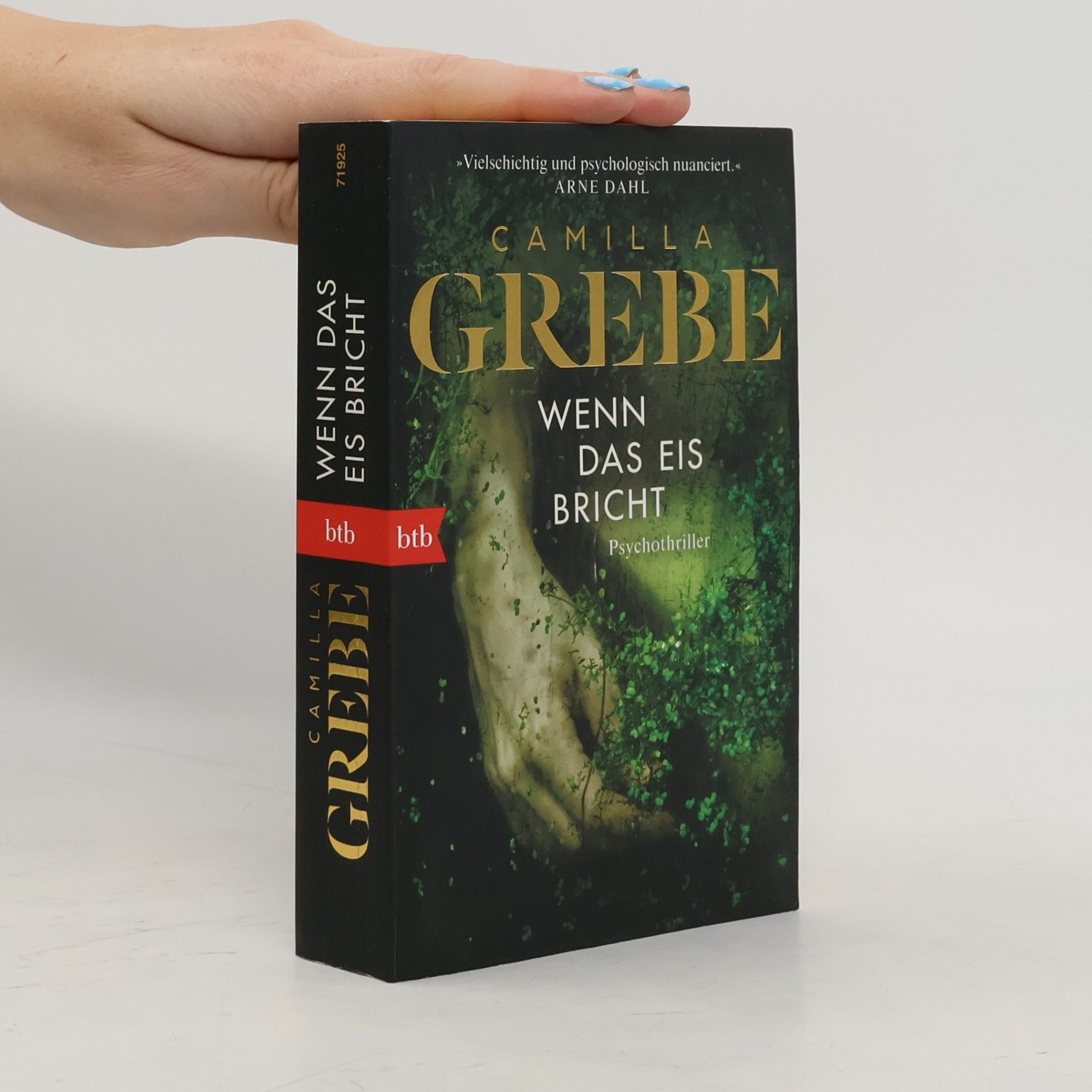 Camilla Grebe Wenn das Eis bricht