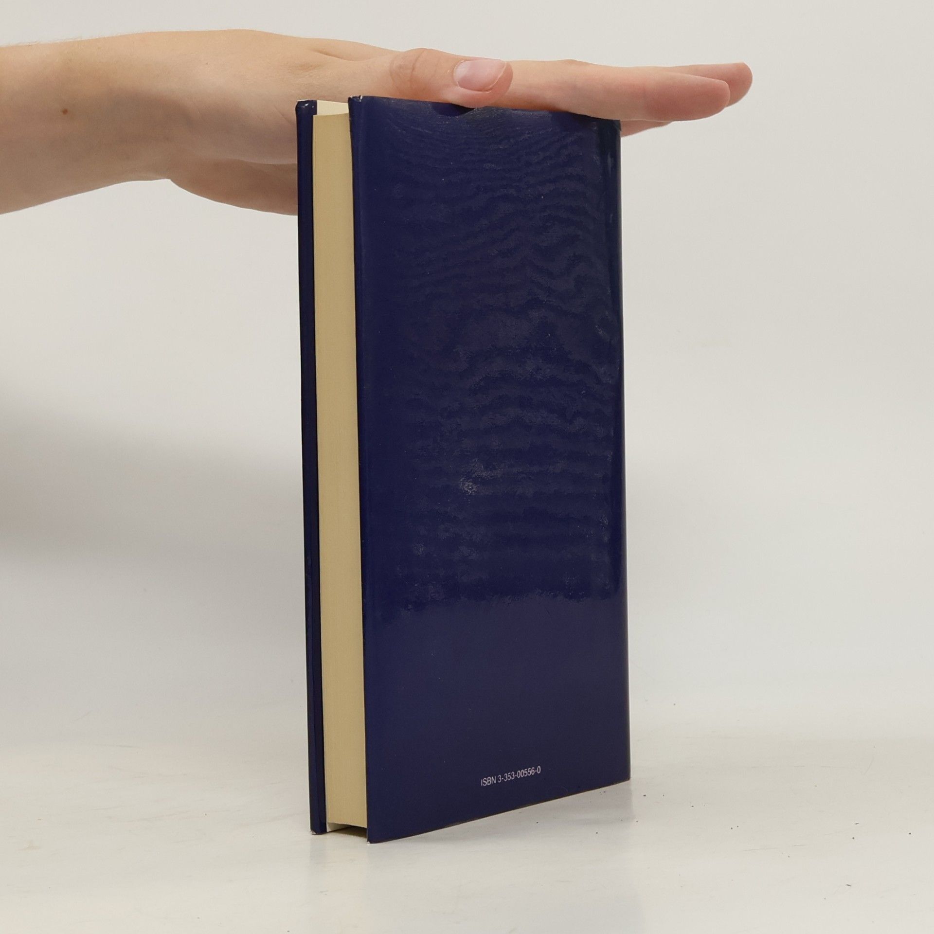 Jean Genet Tagebuch eines Diebes