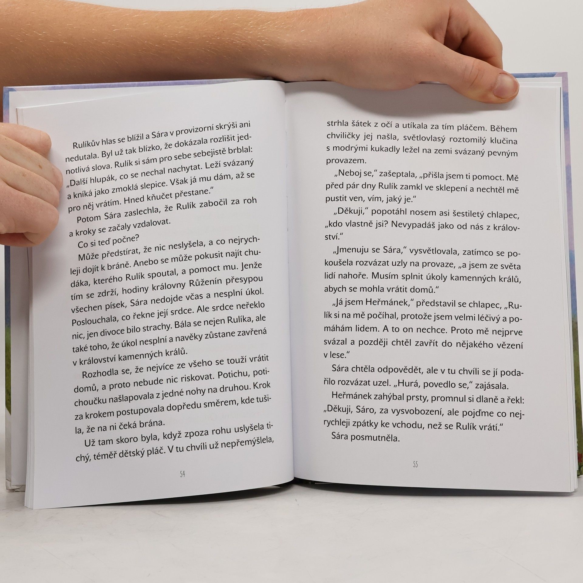 Romana Vaverová Sára a království sedmi kamenů