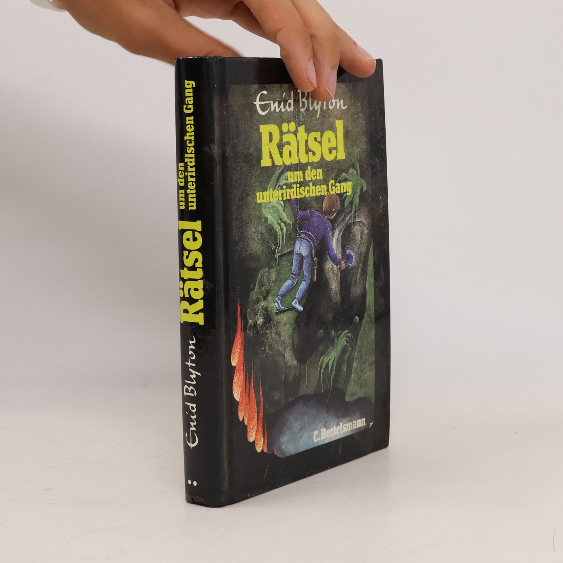 Enid Blyton Rätsel