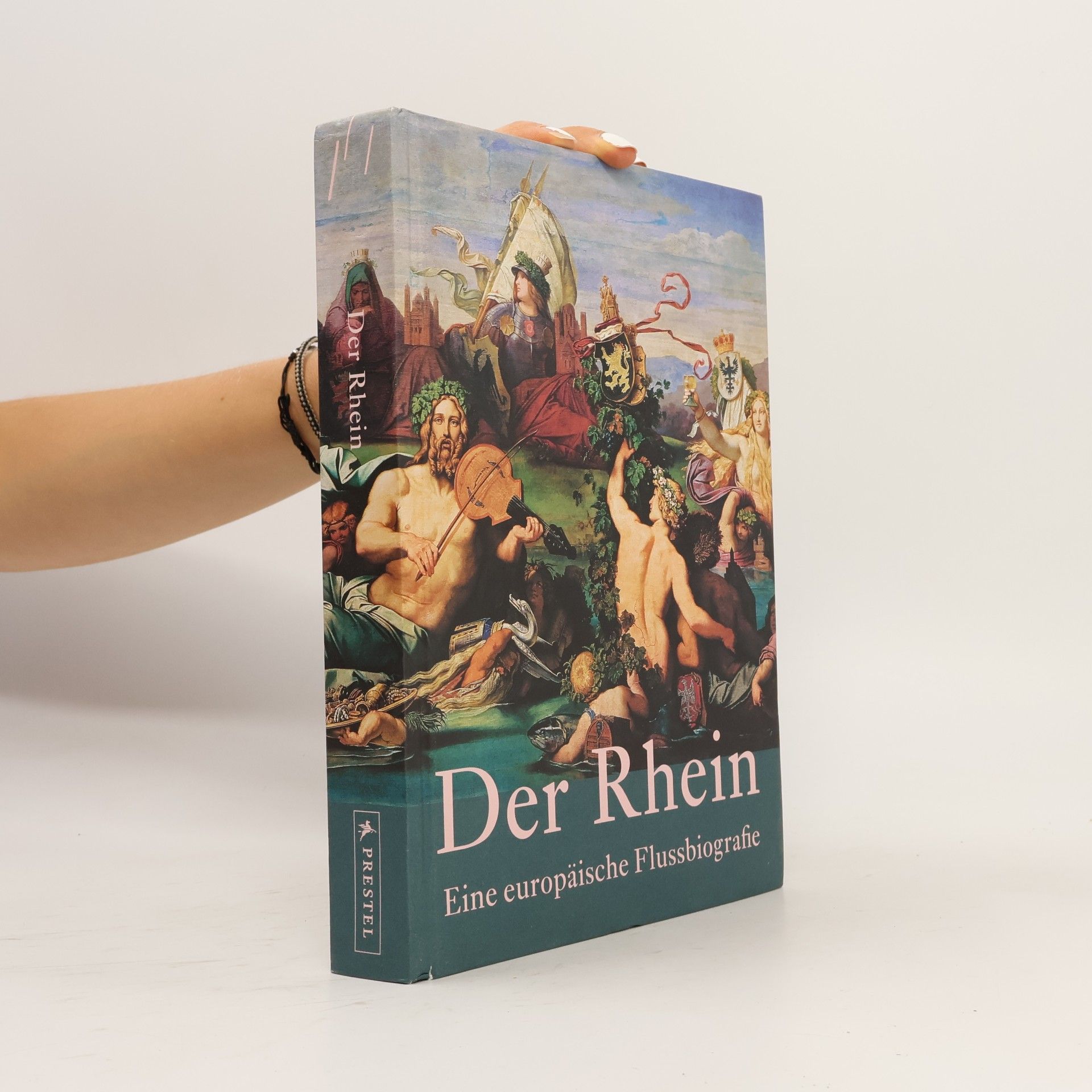 Marie Plessen Der Rhein
