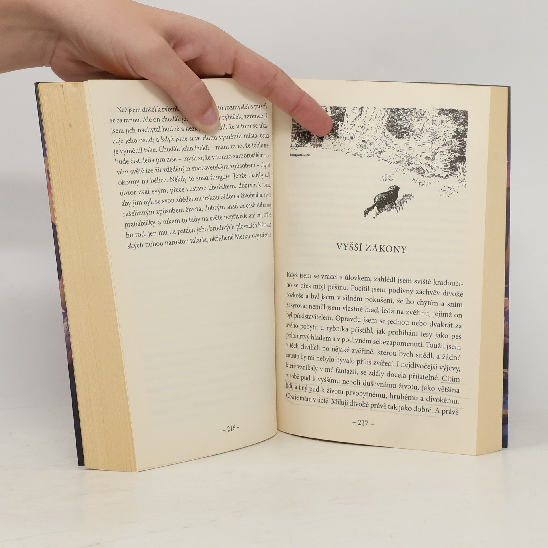 Henry David Thoreau Walden aneb Život v lesích