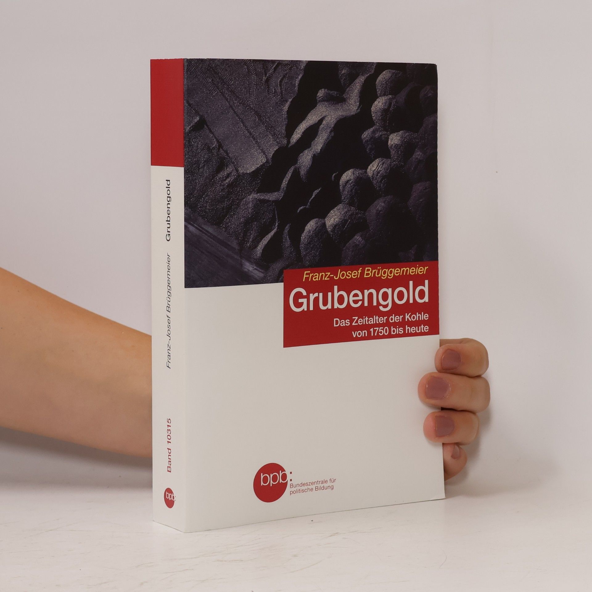 Franz-Josef Brüggemeier Grubengold