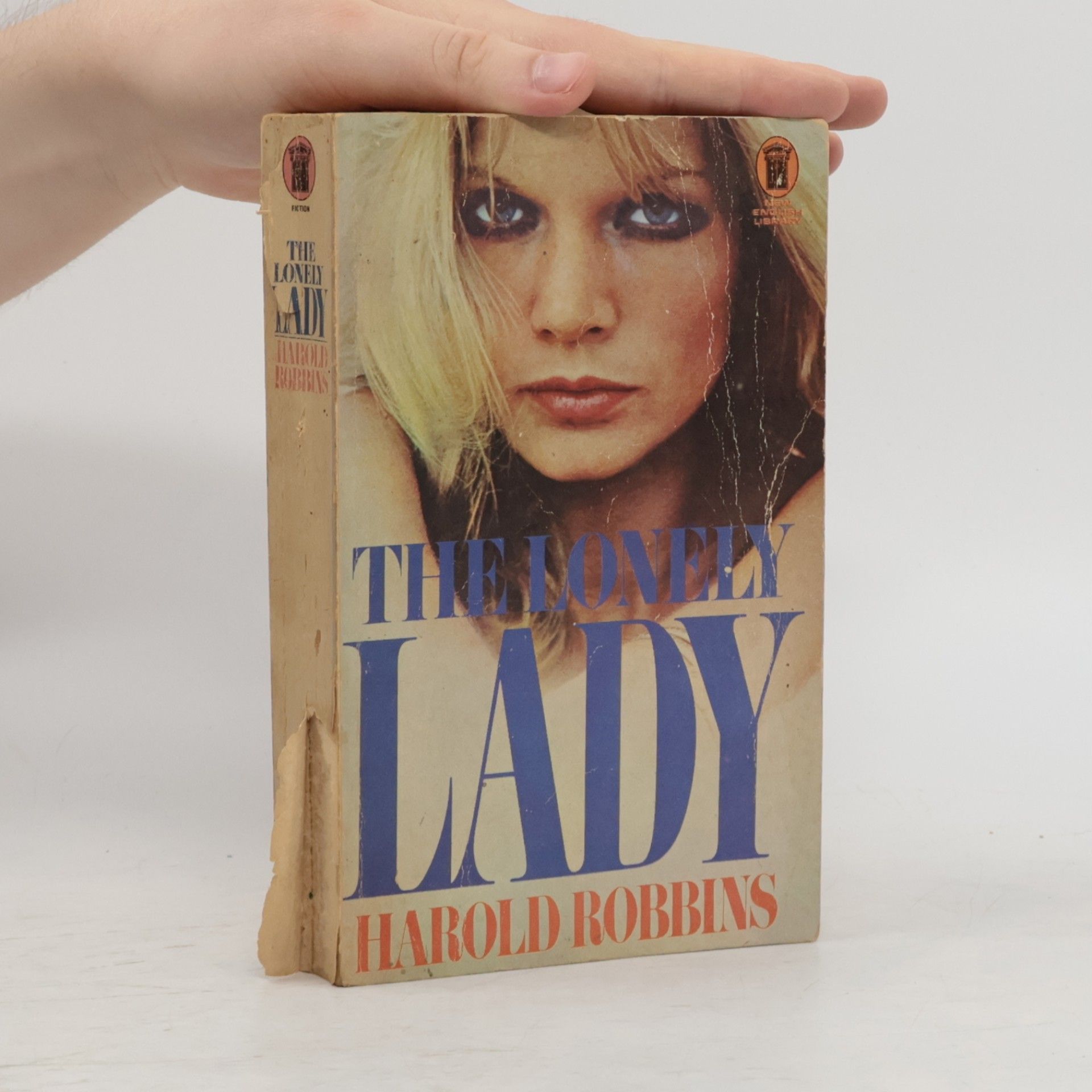 Harold Robbins The lonely lady