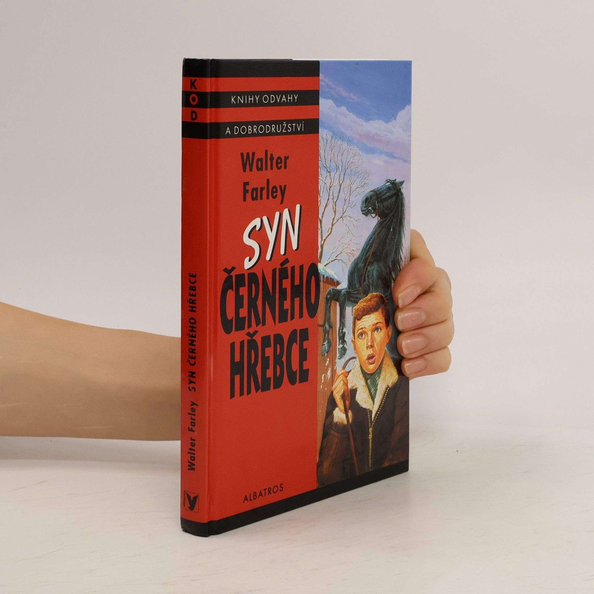 Walter Farley Syn černého hřebce