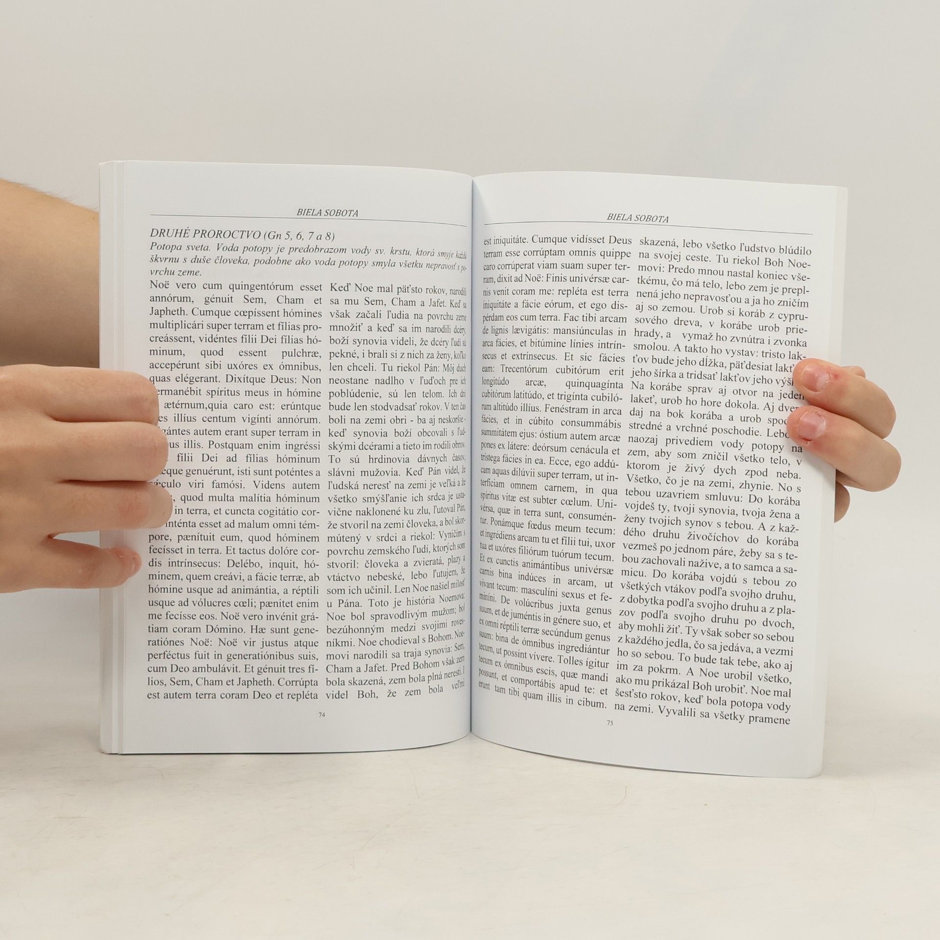 AA.VV. Ríty a slávenia vel´kého postu a vel´kej noci. Liturgia pred reformou 1966 pre veriacich v latinčine a slovenčine a misál latinsko-slovenský