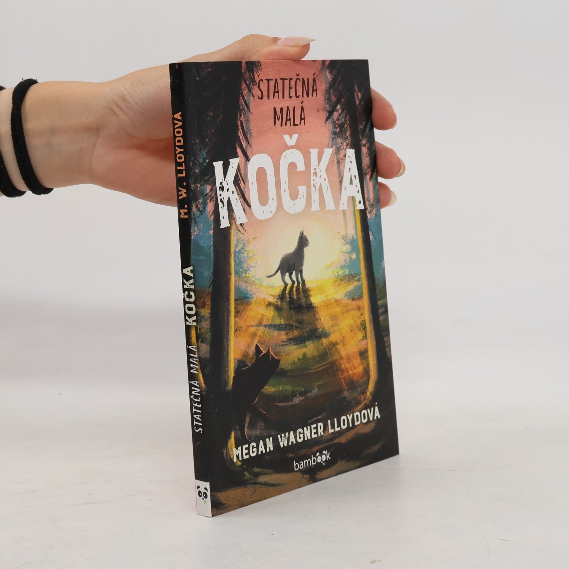 Megan Wagner Lloyd Statečná malá kočka