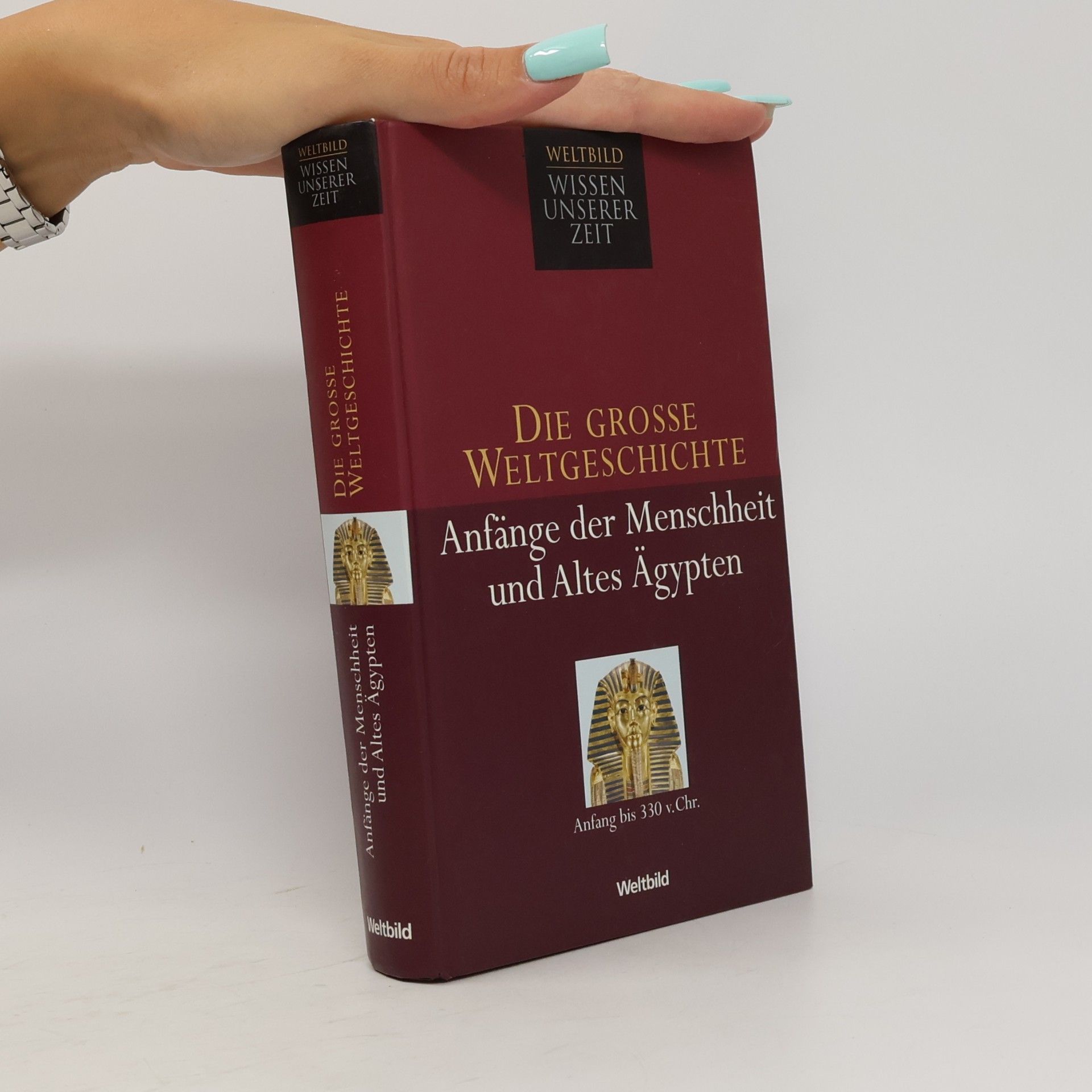 Various authors Die grosse Weltgeschichte: Anfänge der Menschheit und Altes Ägypten