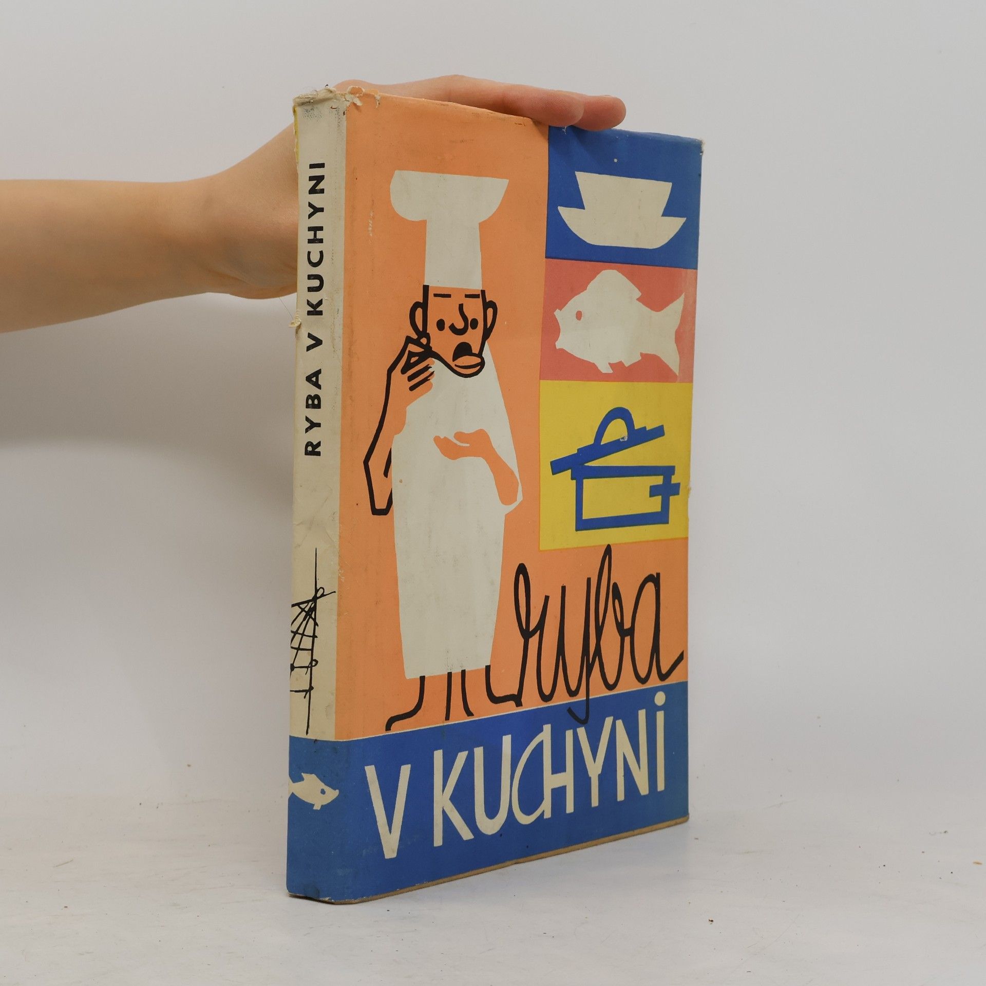 Drahomíra Novotná Ryba v kuchyni