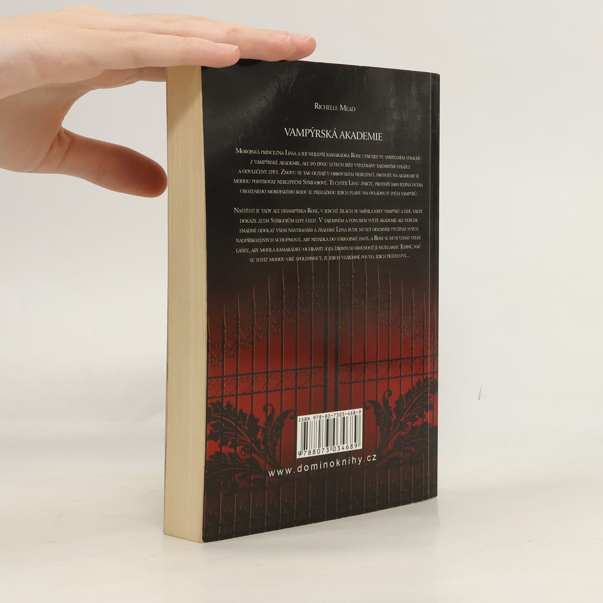 Richelle Mead Vampýrská akademie