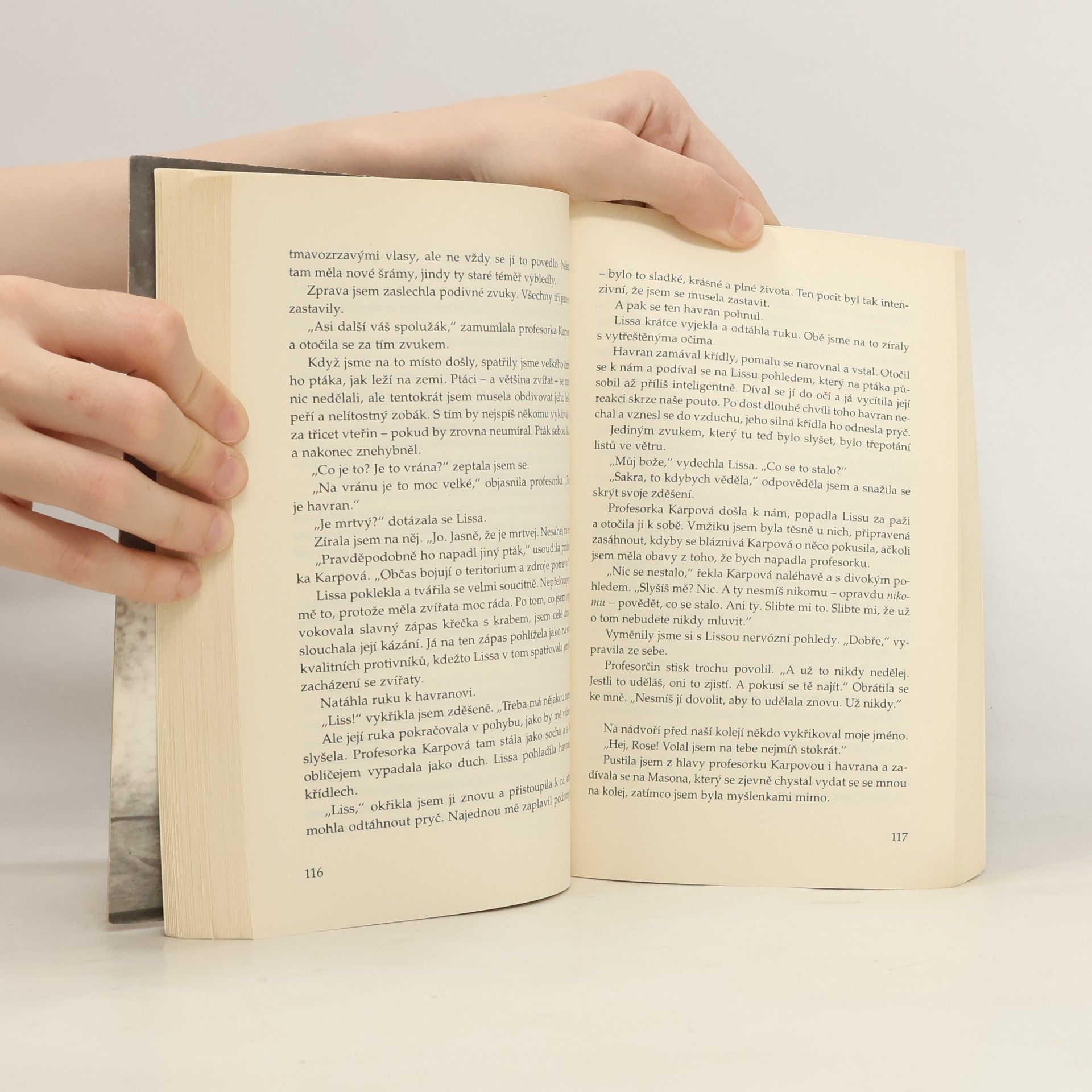 Richelle Mead Vampýrská akademie