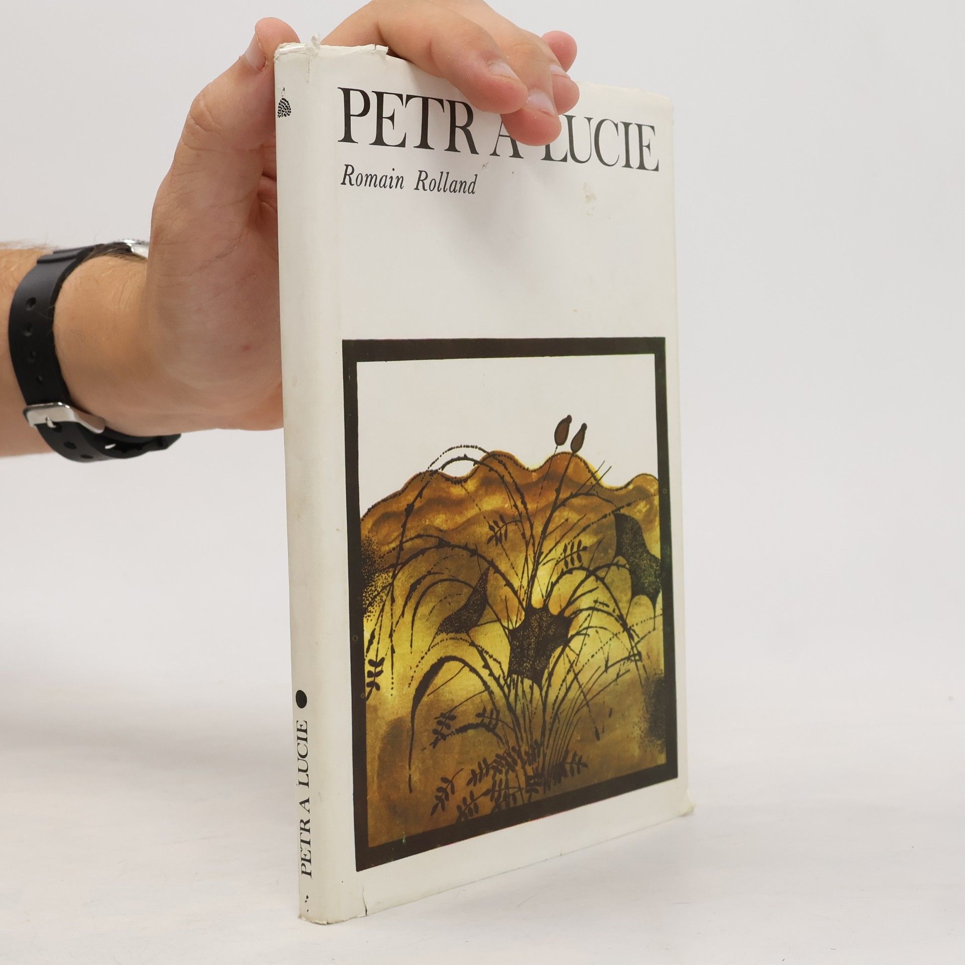 Romain Rolland Petr a Lucie