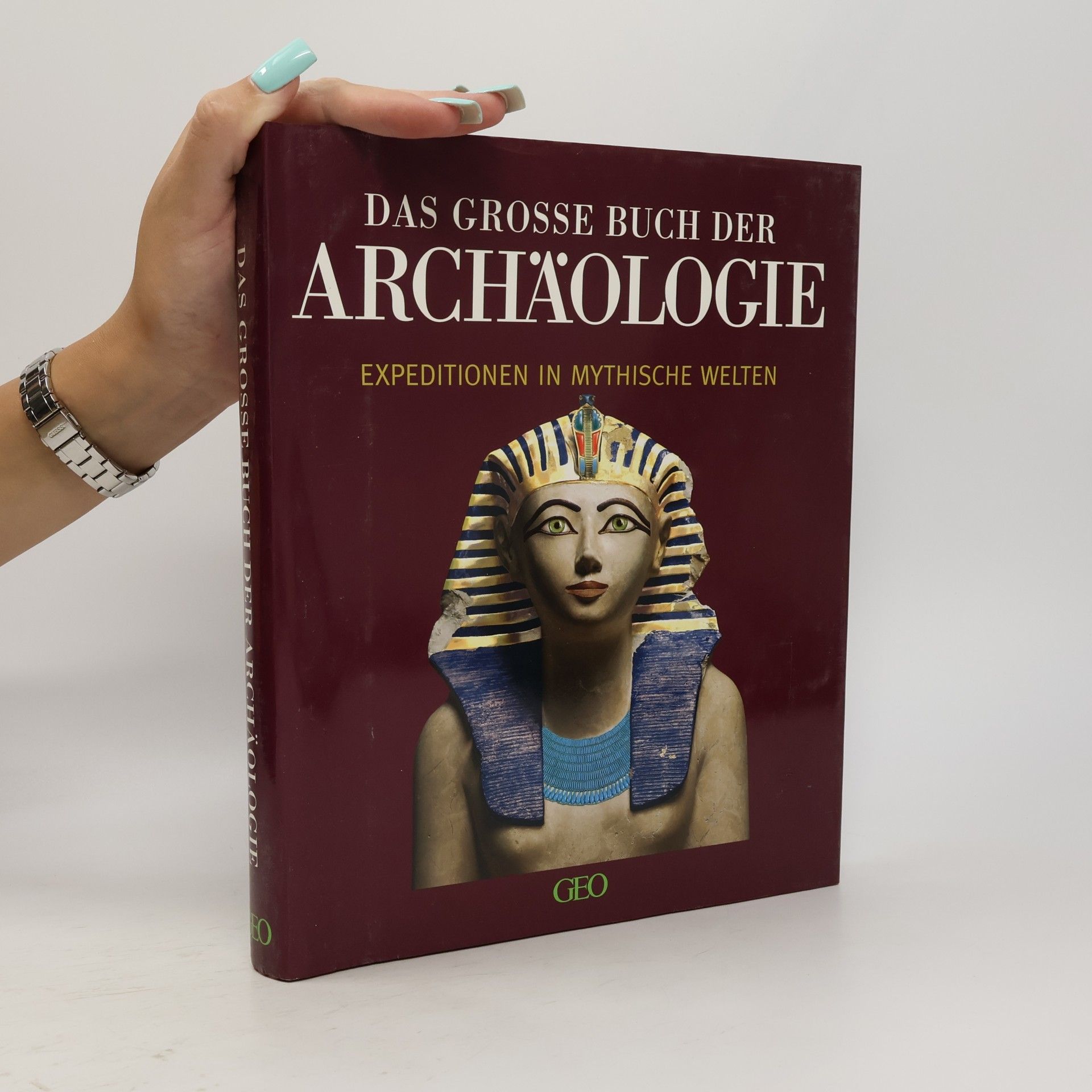 Peter Matthias Gaede Das grosse Buch der Archäologie
