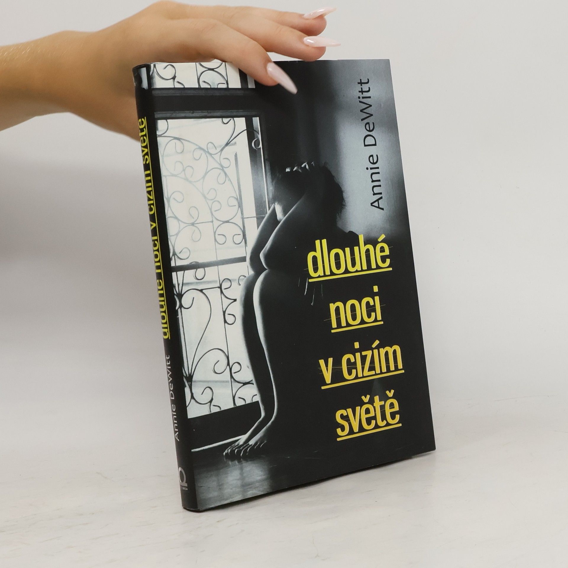 Annie DeWitt Dlouhé noci v cizím světě