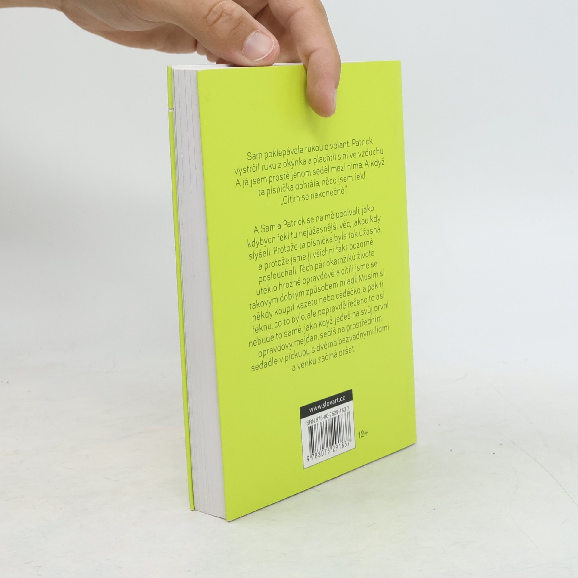Stephen Chbosky Ten, kdo stojí v koutě