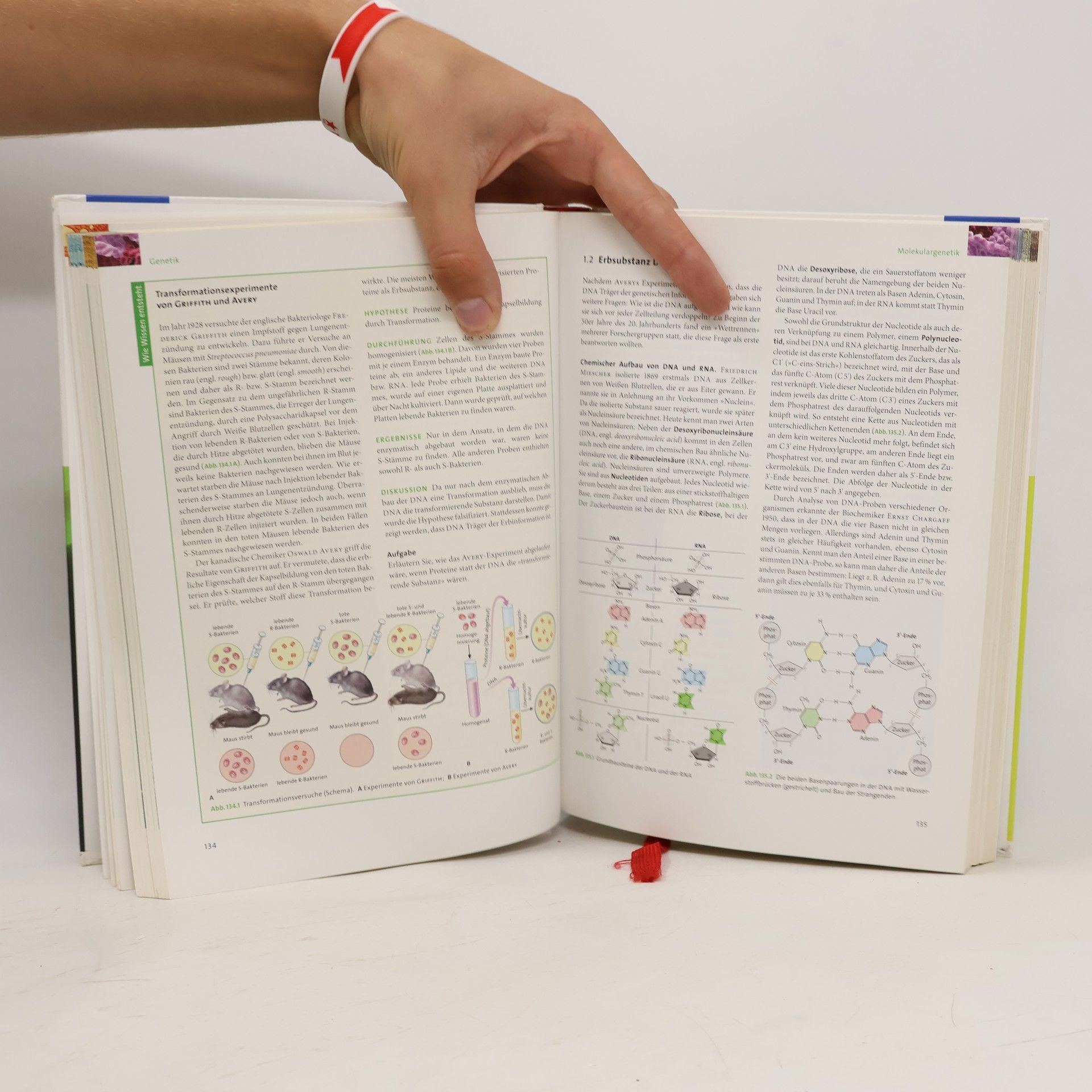 Autorenkollektiv Linder Biologie