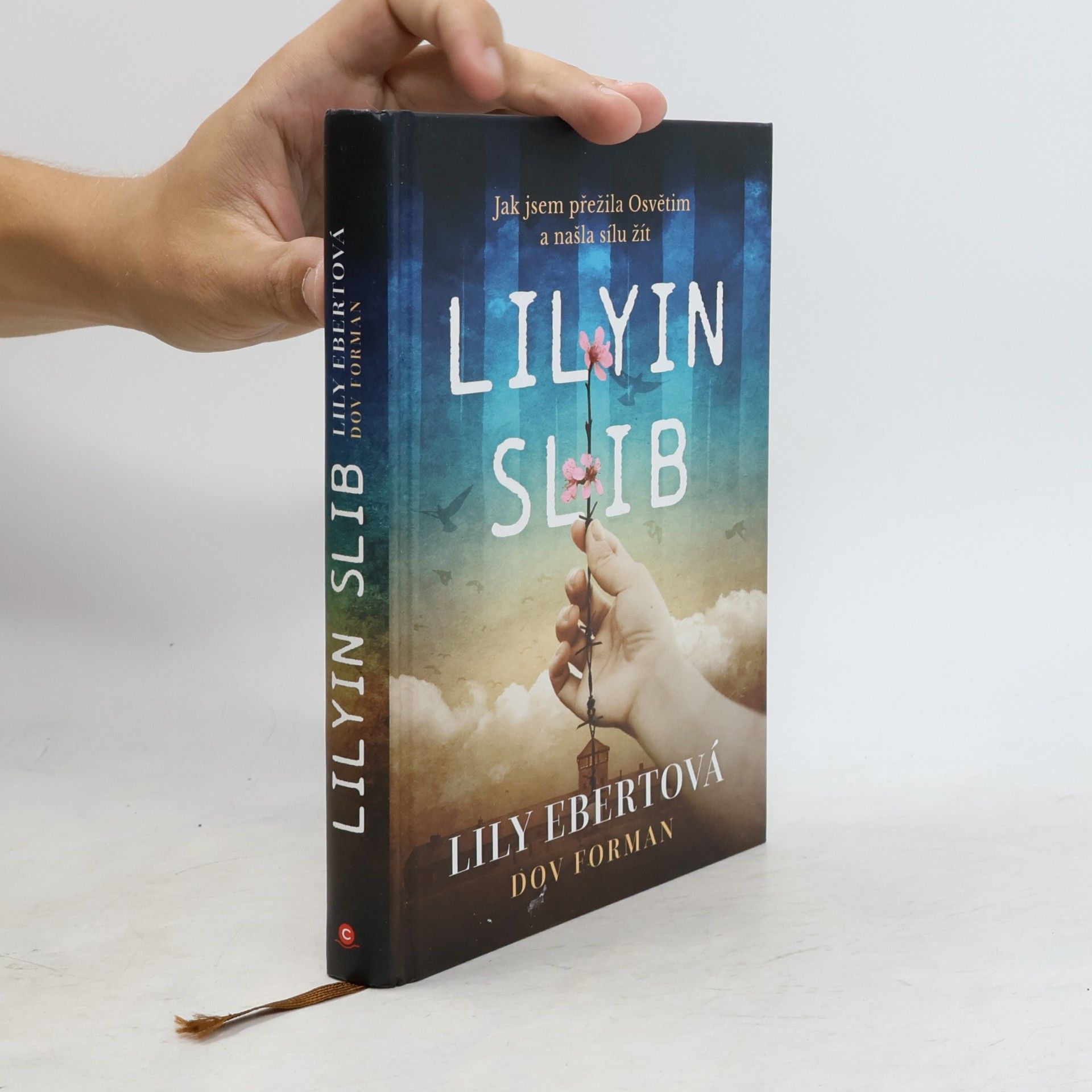 Lily Ebert Lilyin slib