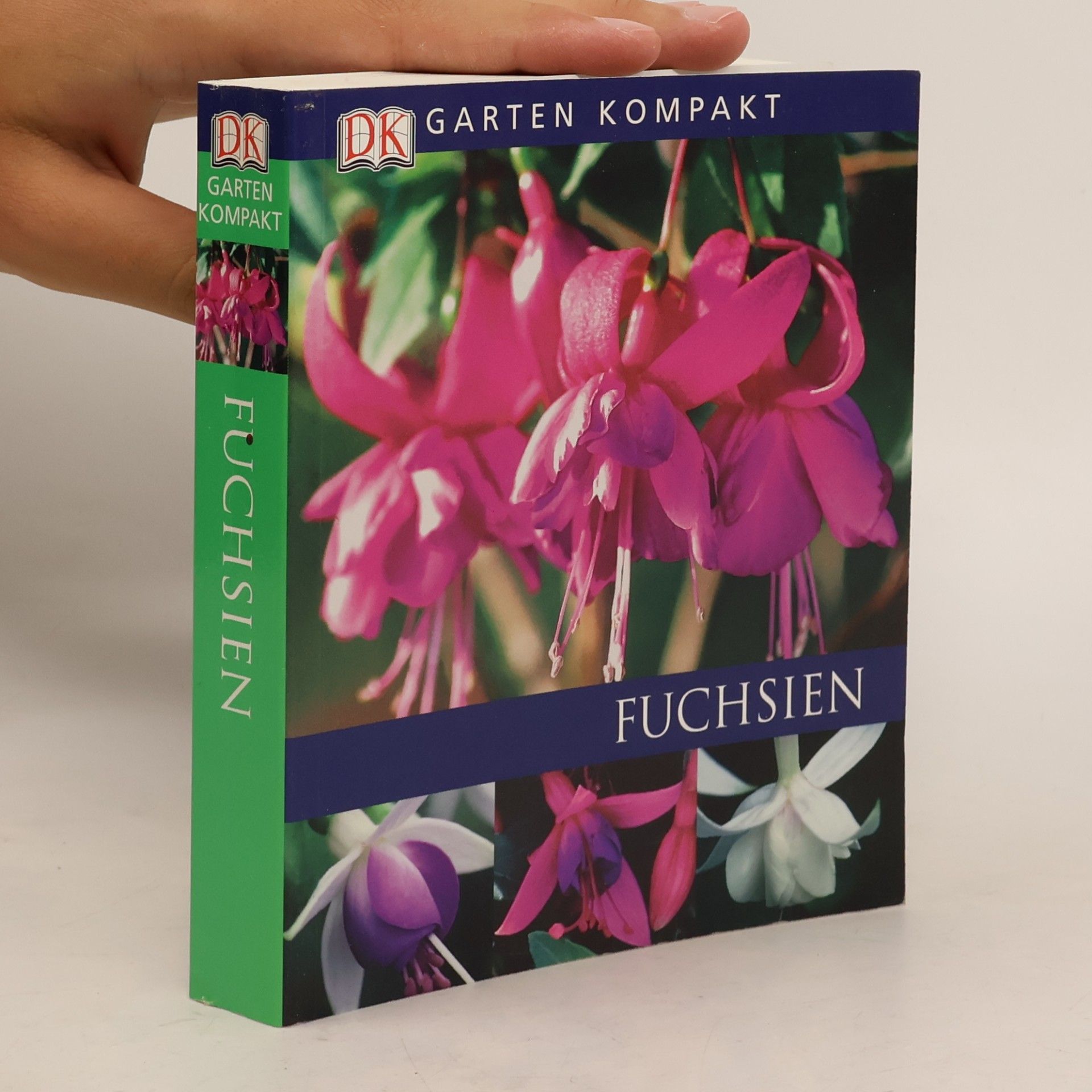Richard Rosenfeld Fuchsien