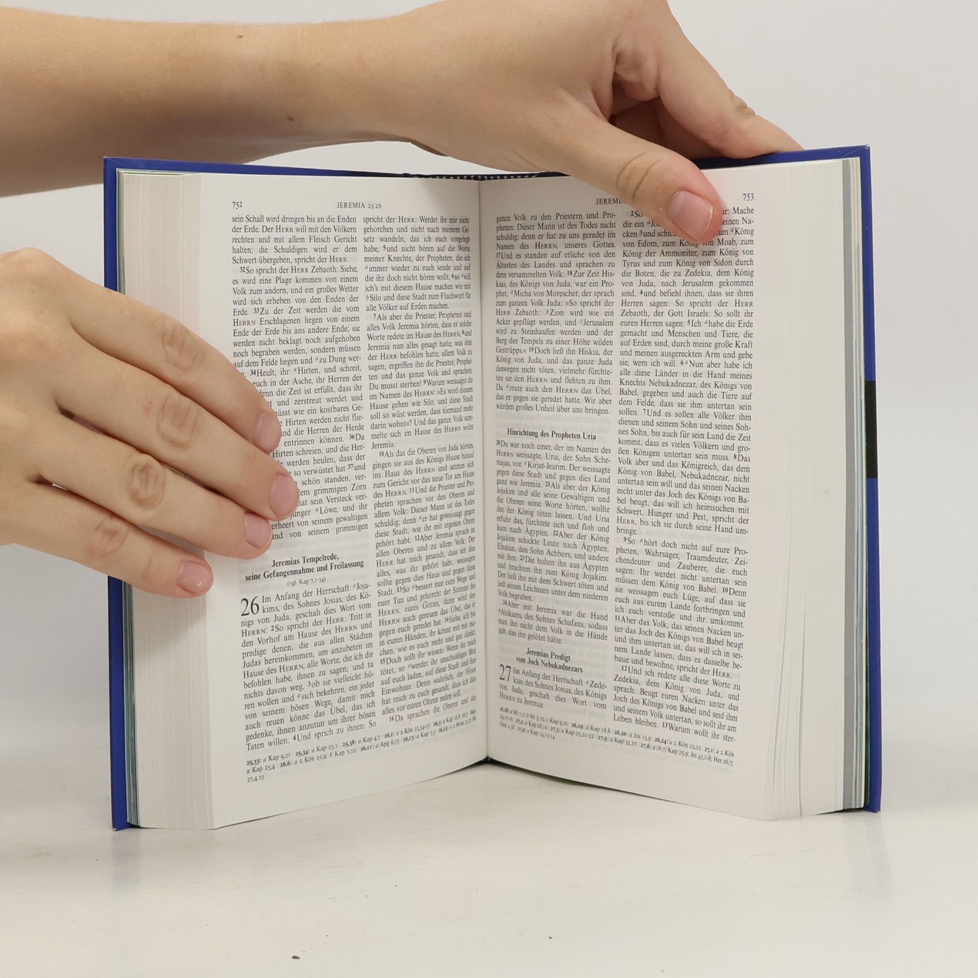 Martin Luther Die neue Lutherbibel für dich