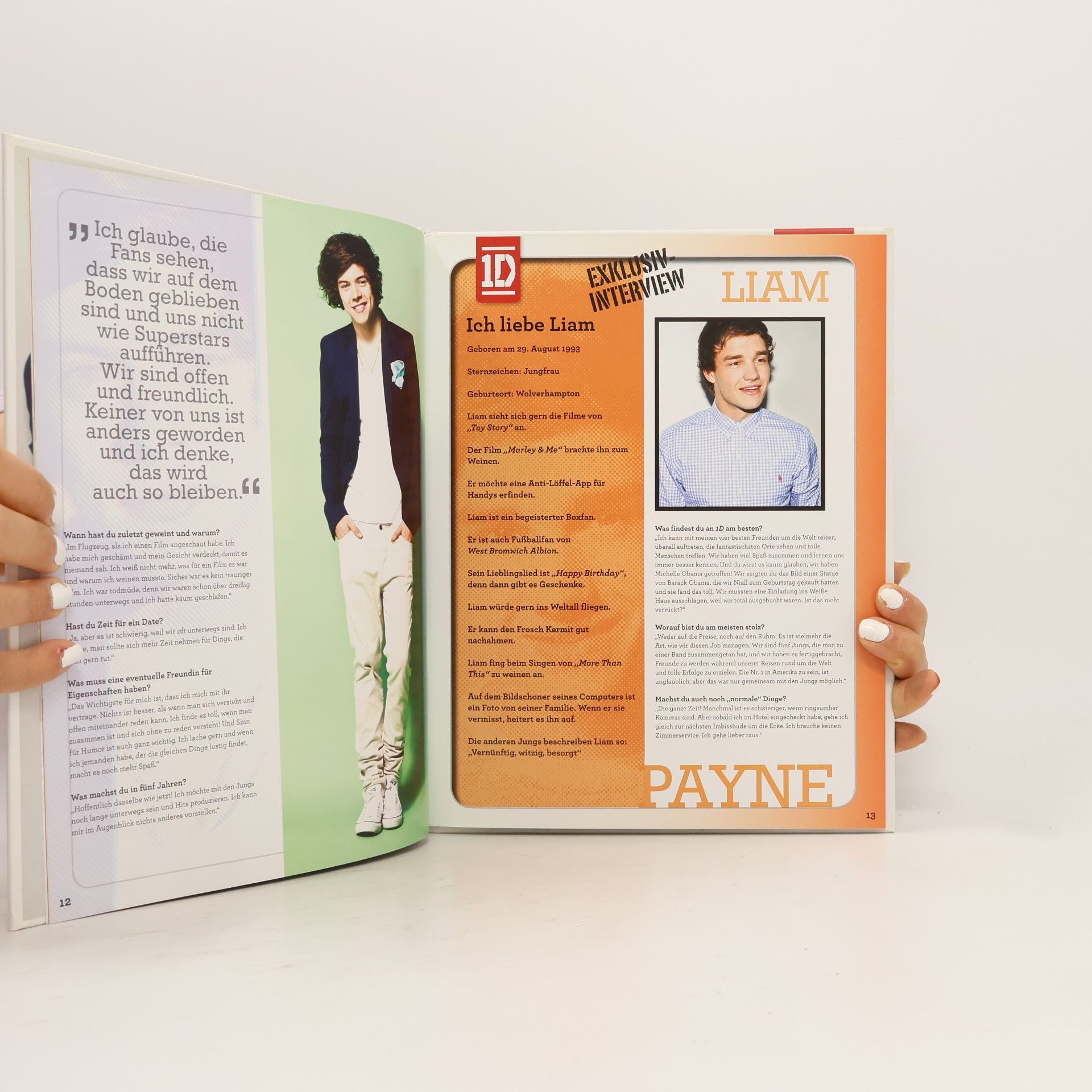 One Direction One Direction - Das offizielle Fanbuch
