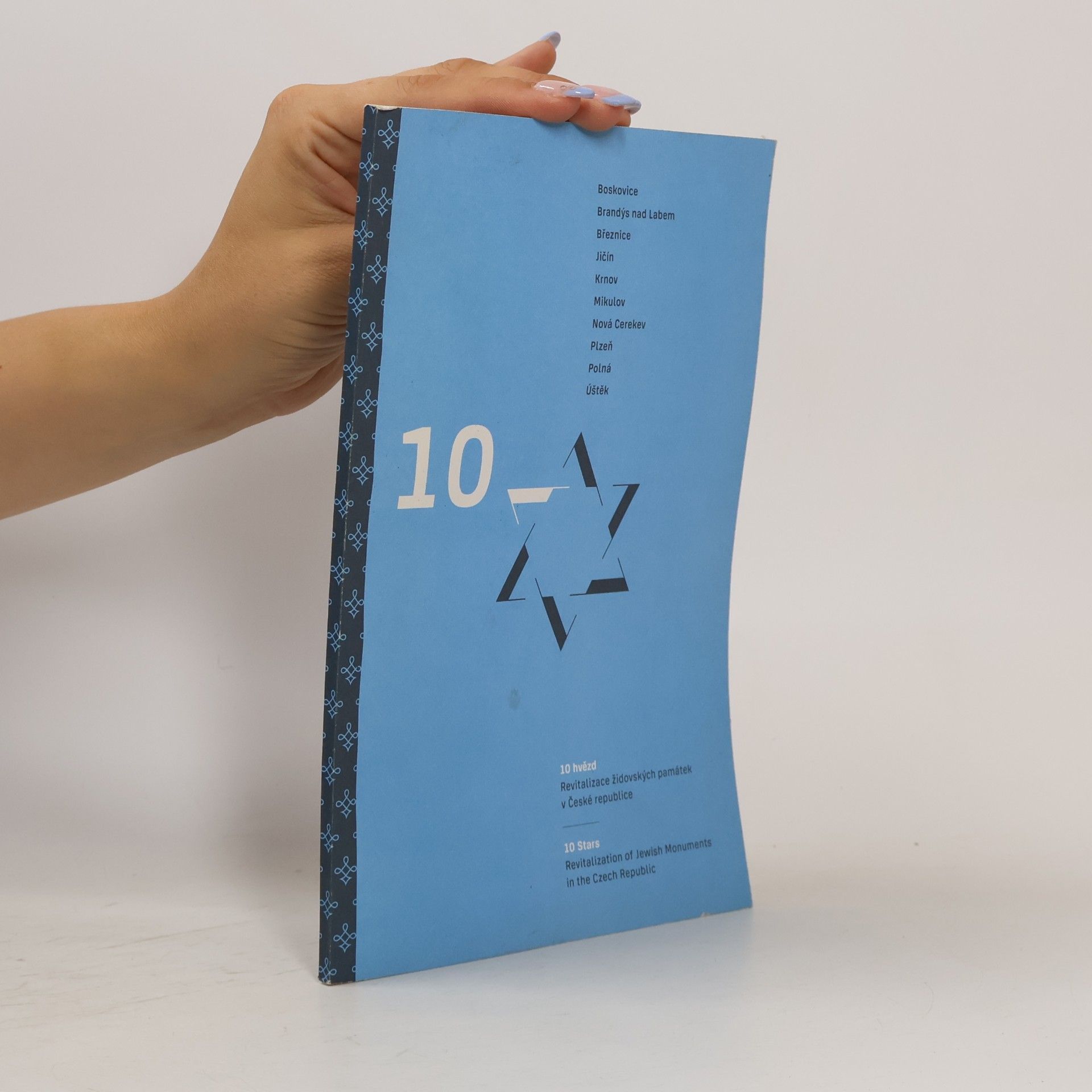 Autores varios 10 hvězd : revitalizace židovských památek v České republice