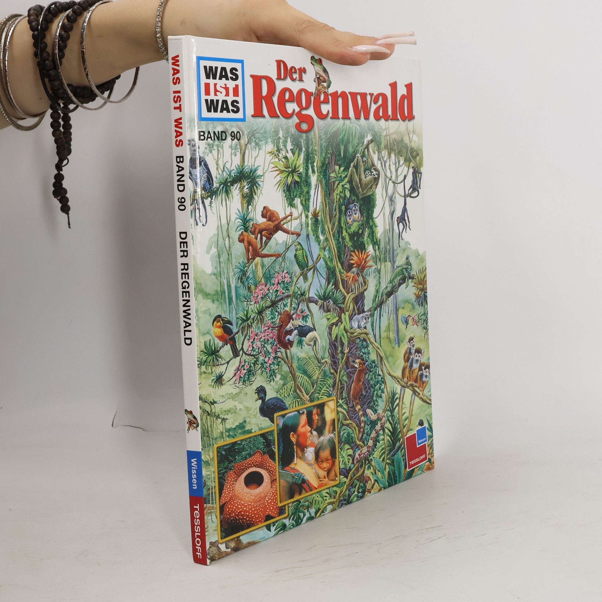 Der Regenwald