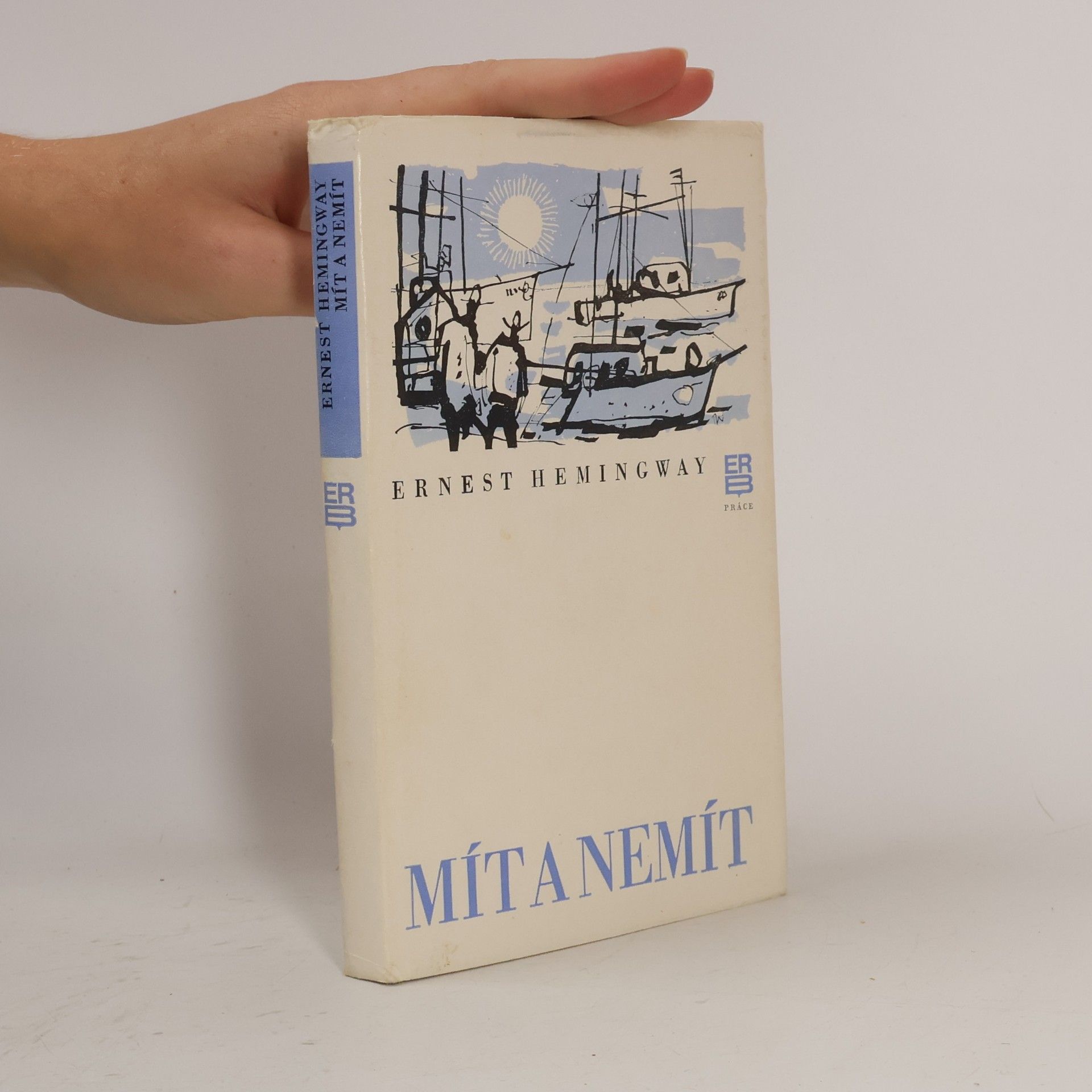 Ernest Hemingway Mít a nemít