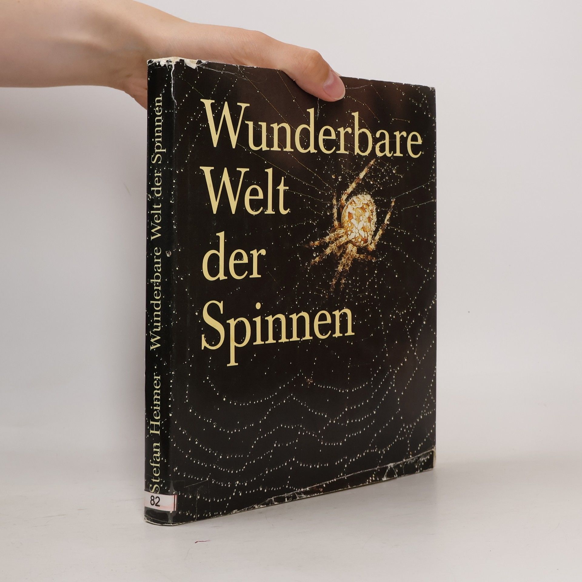 Stefan Heimer Wunderbare Welt der Spinnen