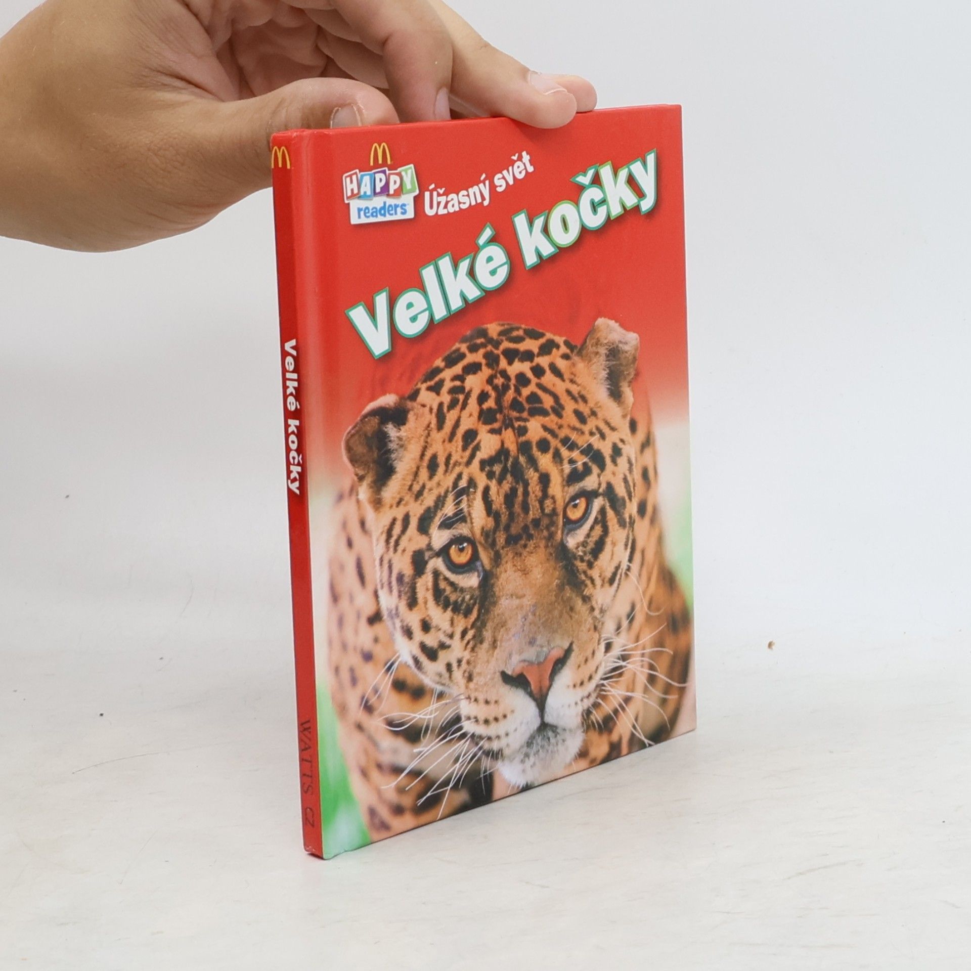 Collectif d'auteurs Velké kočky