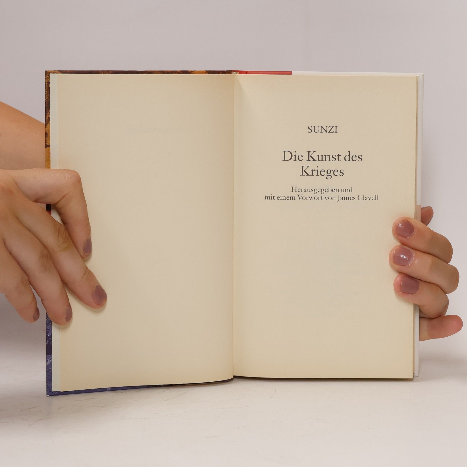 Sun Tzu Die Kunst des Krieges