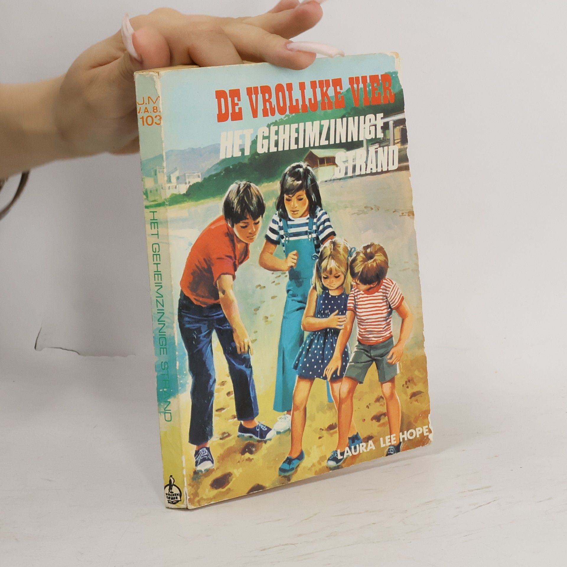 Sylvie van Dannis Het Geheimzinnige Strand