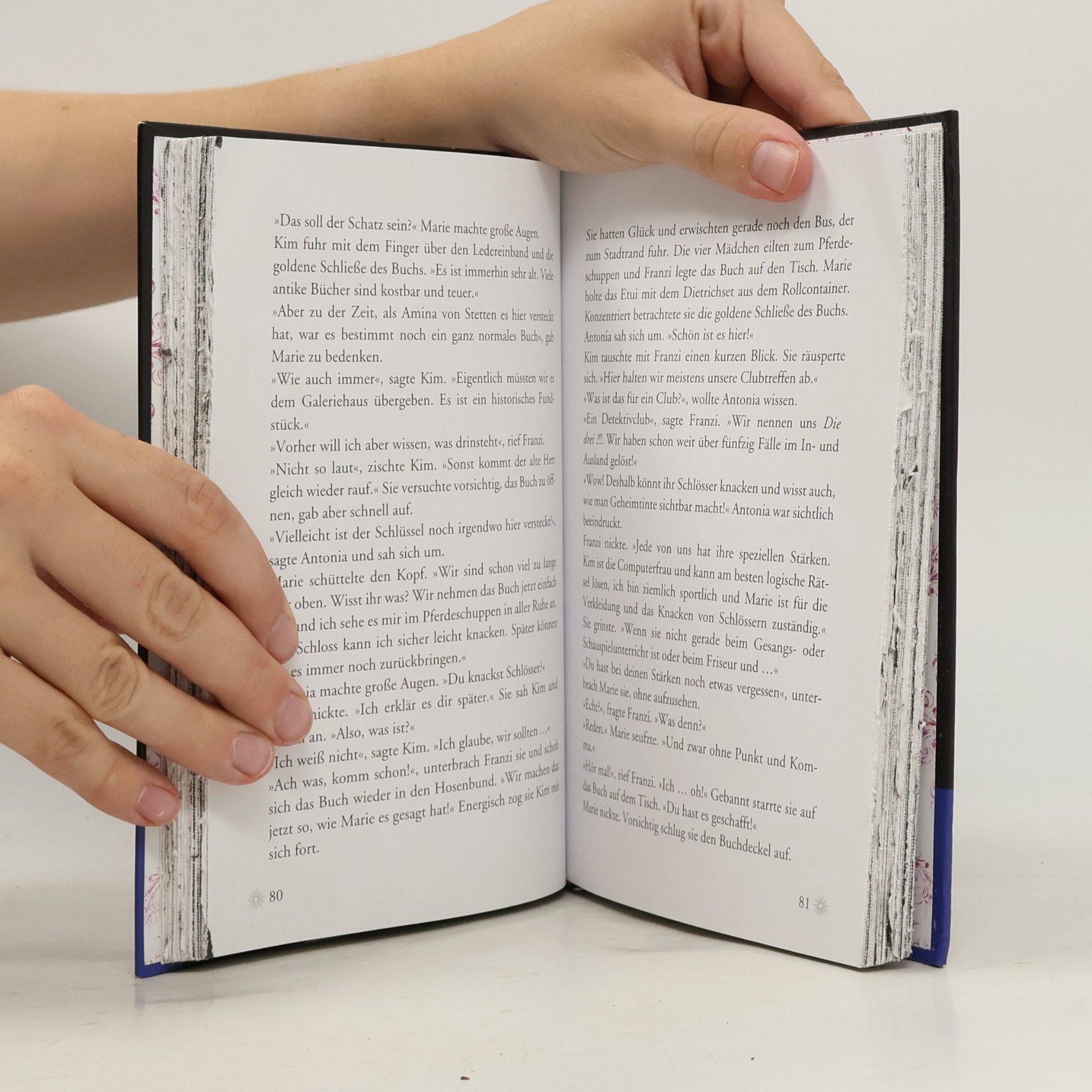 Mira Sol Die drei !!! - das geheime Buch